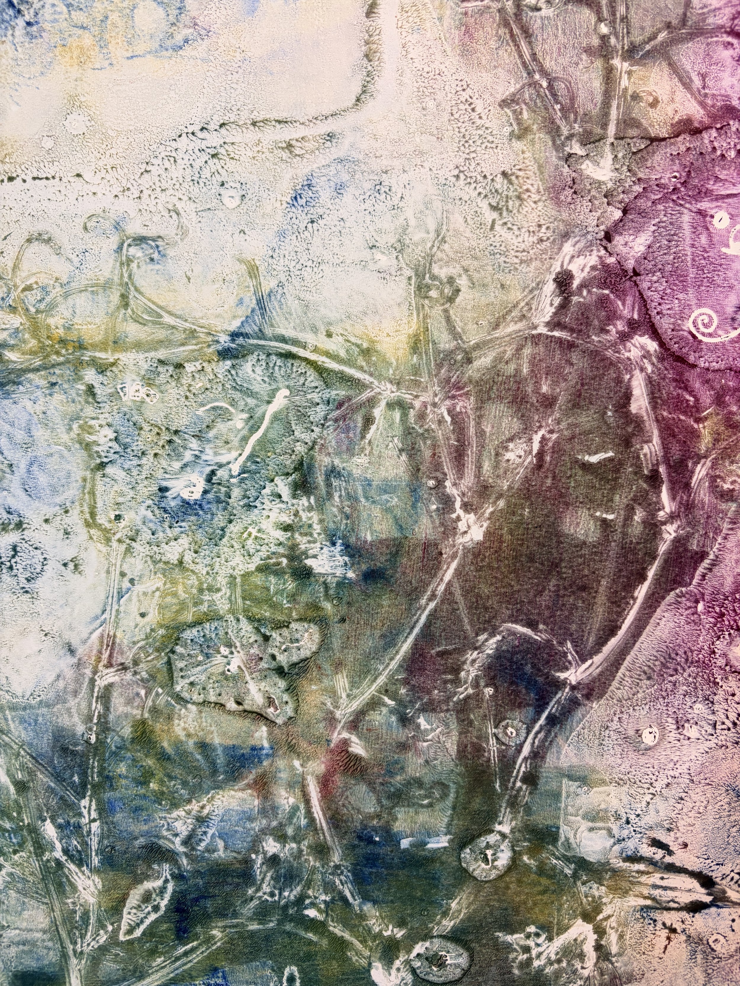 wildmono gelli print 2026 bcg88_1282.JPG
