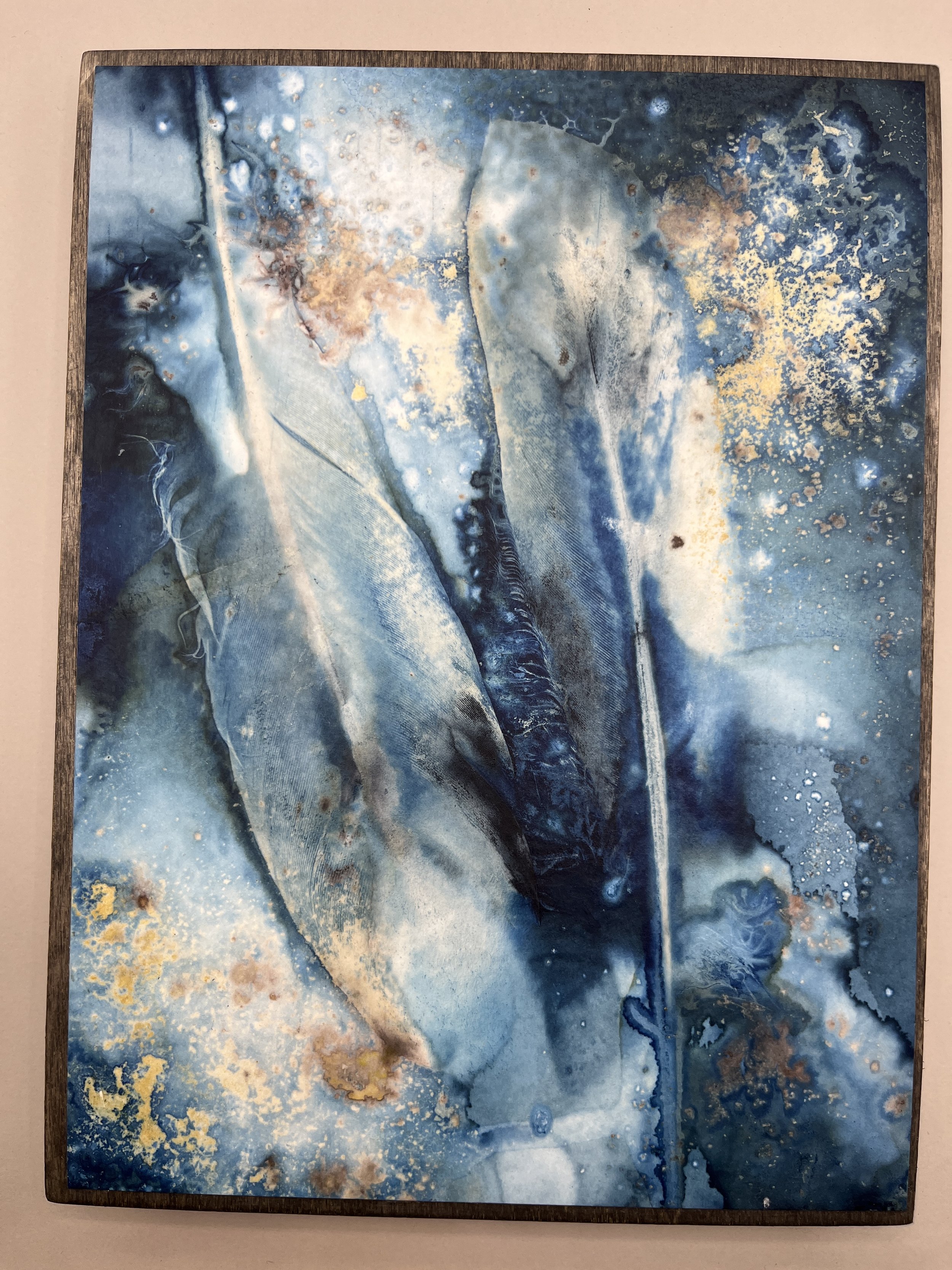 kgb294 2025_1320 2.JPG