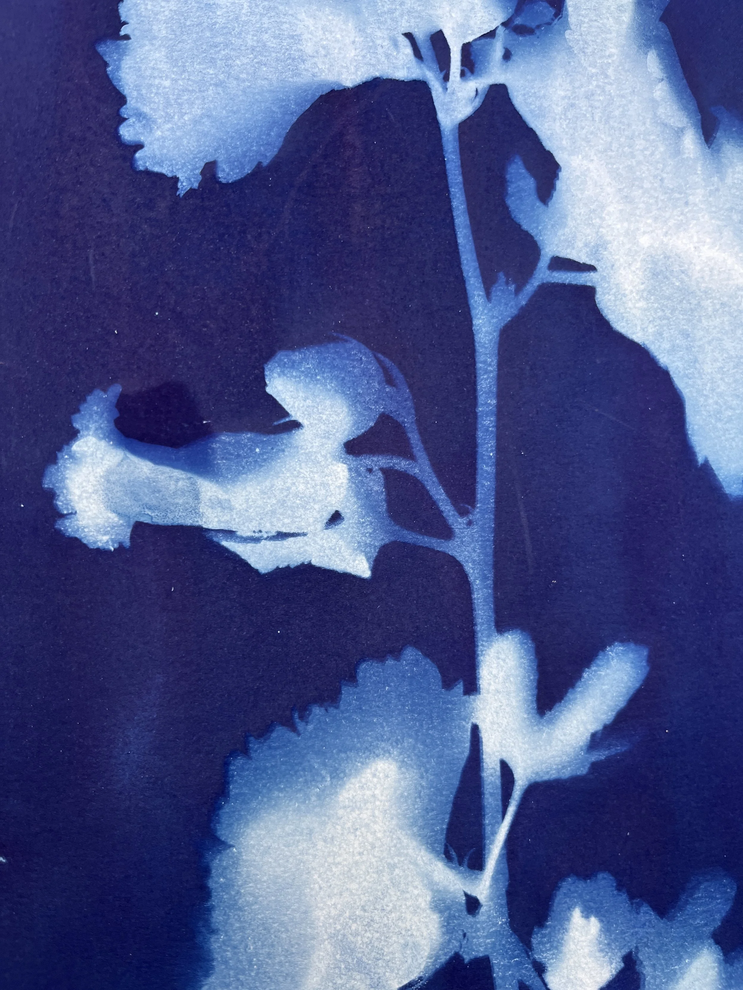 kgb295 2025_1331.JPG