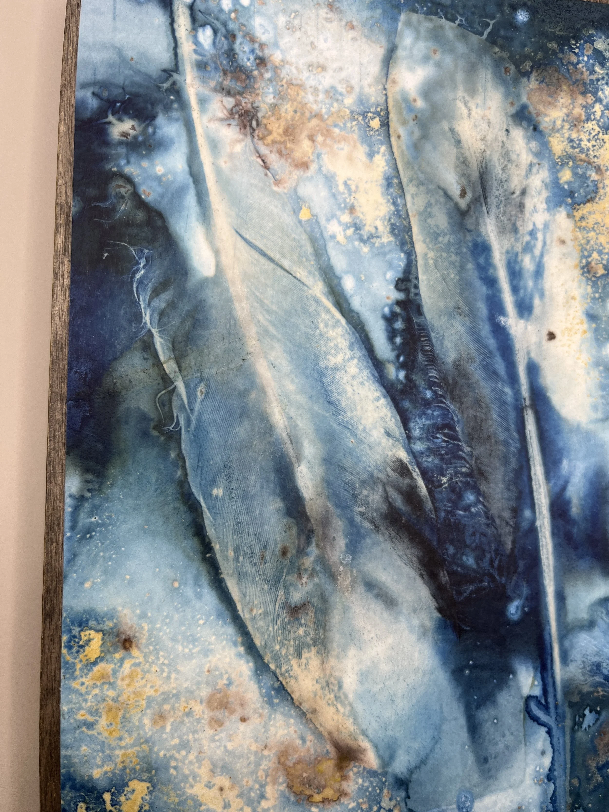 kgb294 2025_1323 2.JPG