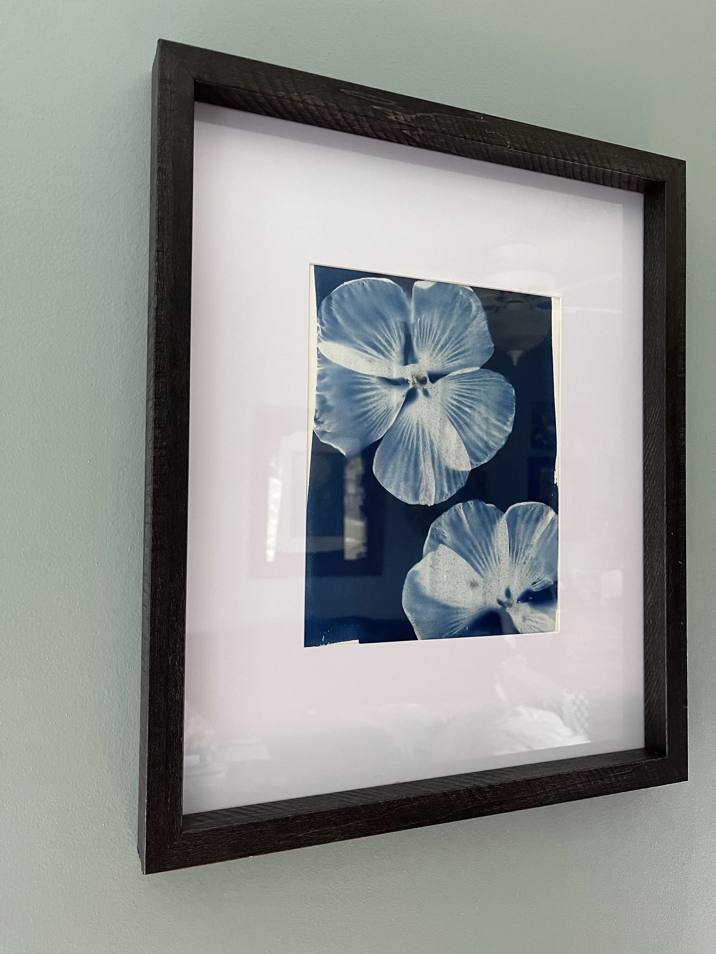 Hibiscus - 11x14 - 2025 - SOLD (HL)