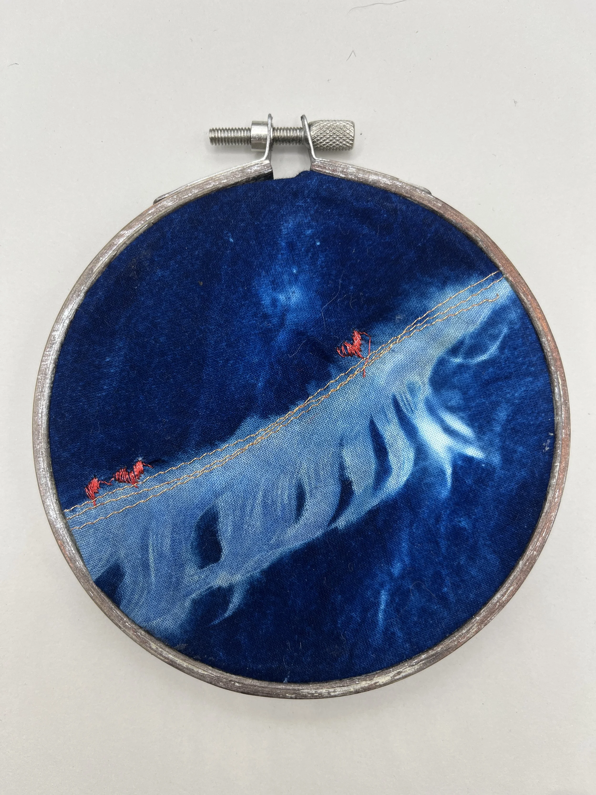 kgb308 2025_1263.JPG