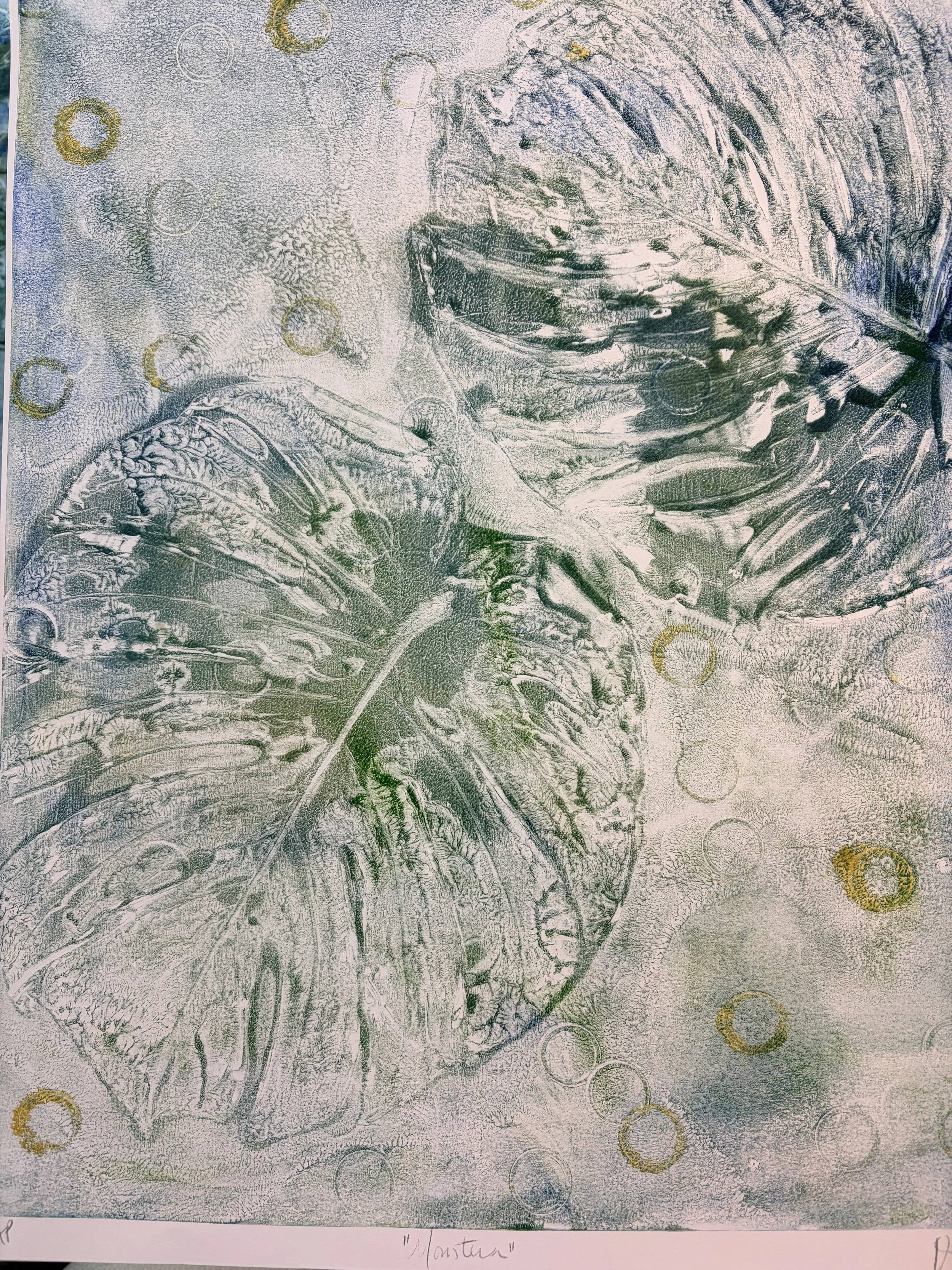 monstera mono gelli print 2026 bcg87_1280.JPG