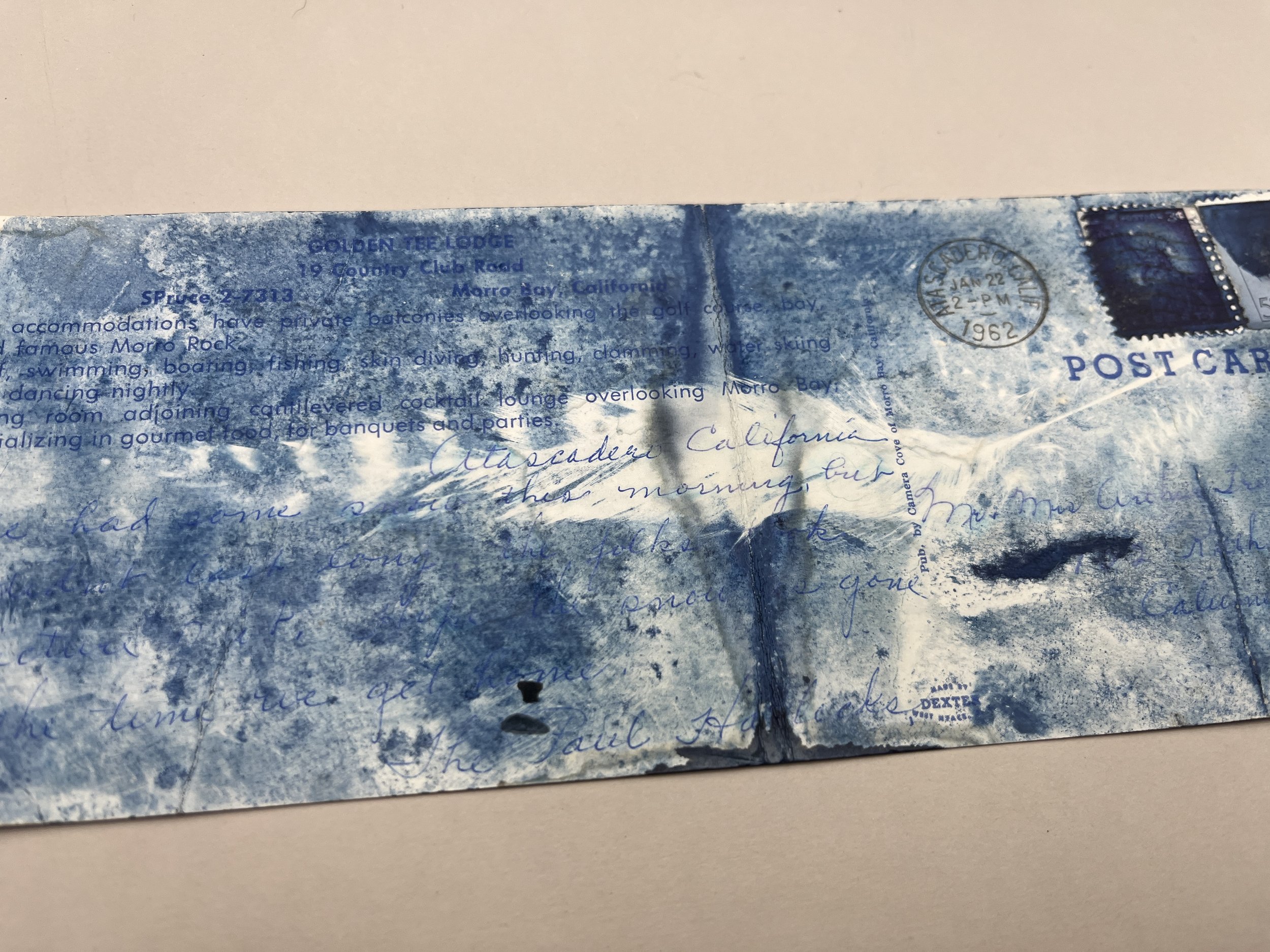 cpc263 2024_3295.JPG