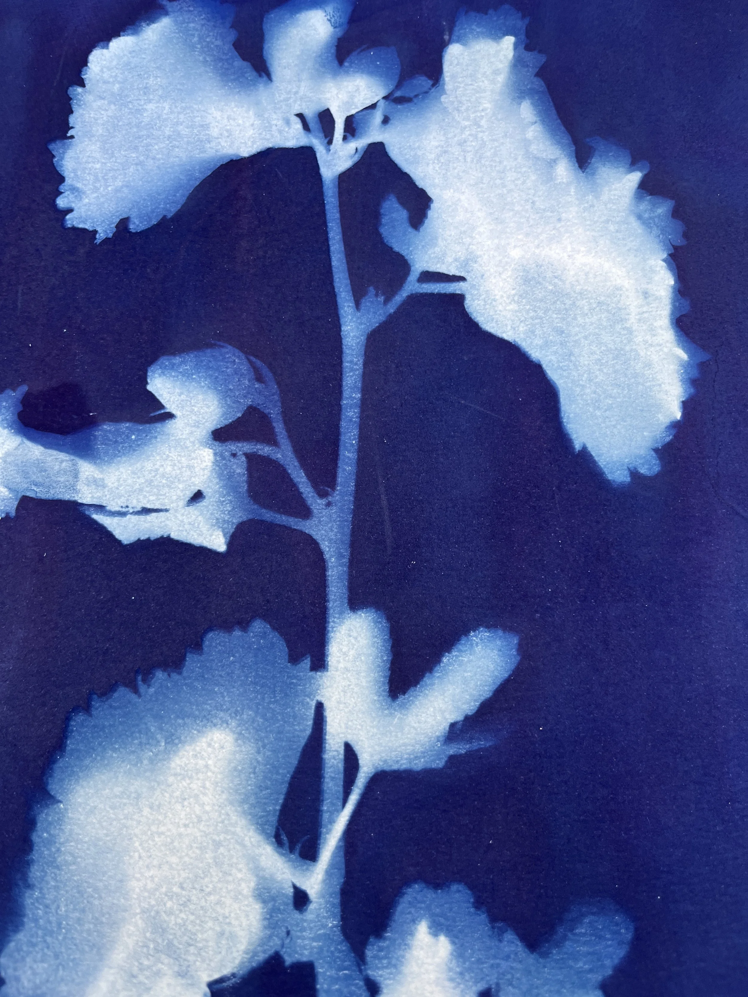 kgb295 2025_1329.JPG