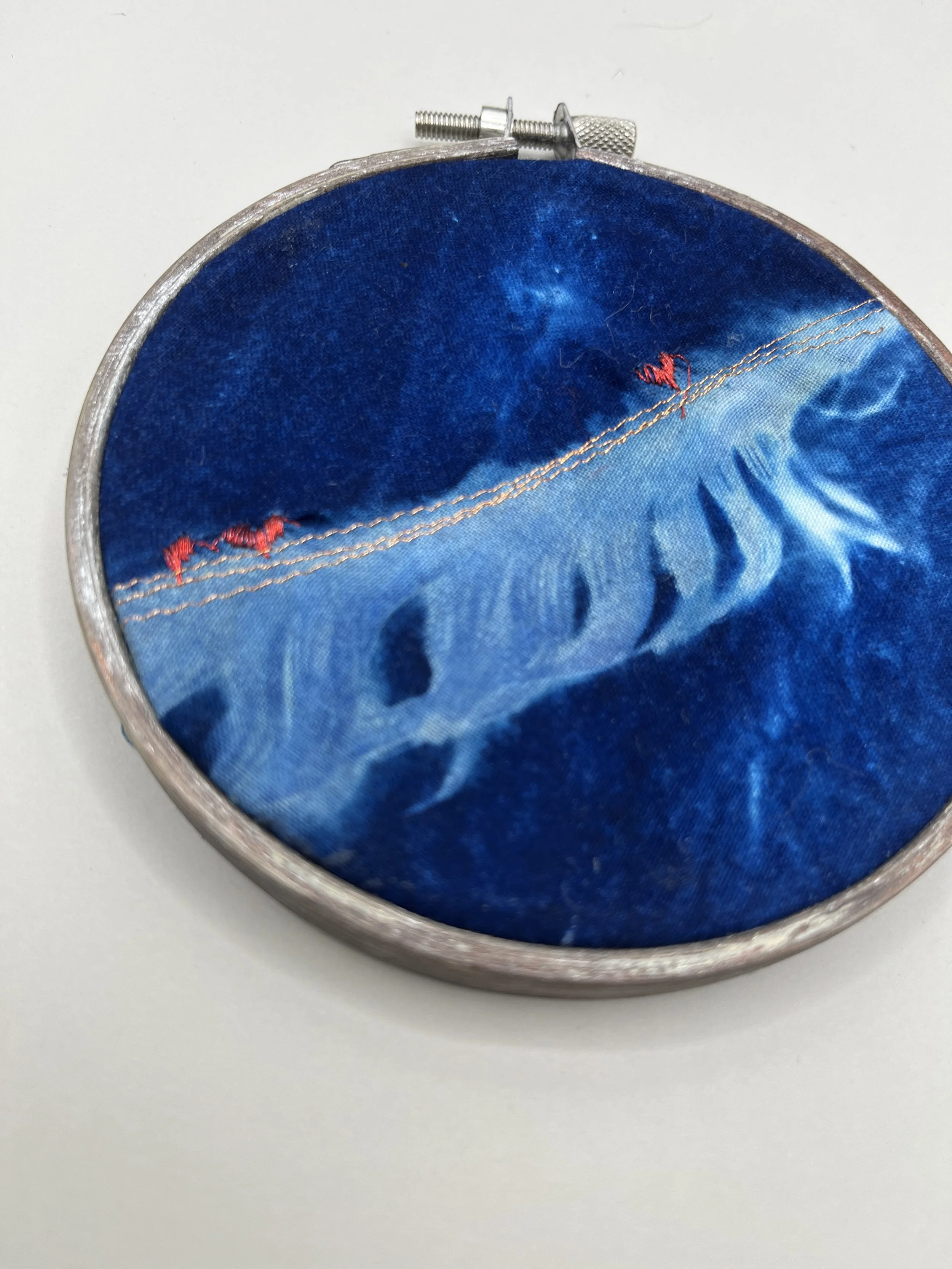 kgb308 2025_1264.JPG