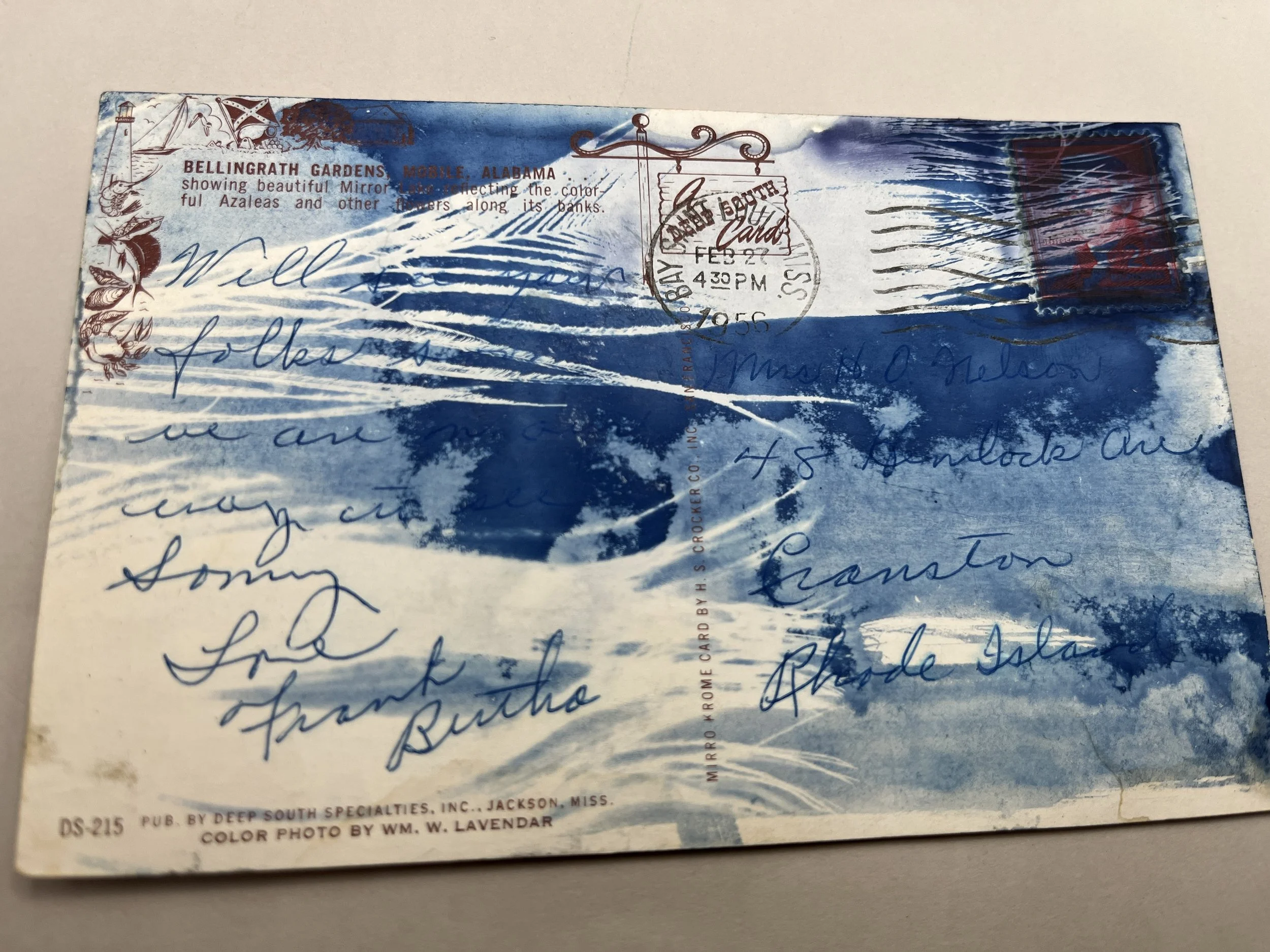 cpc462 2025_3677.JPG