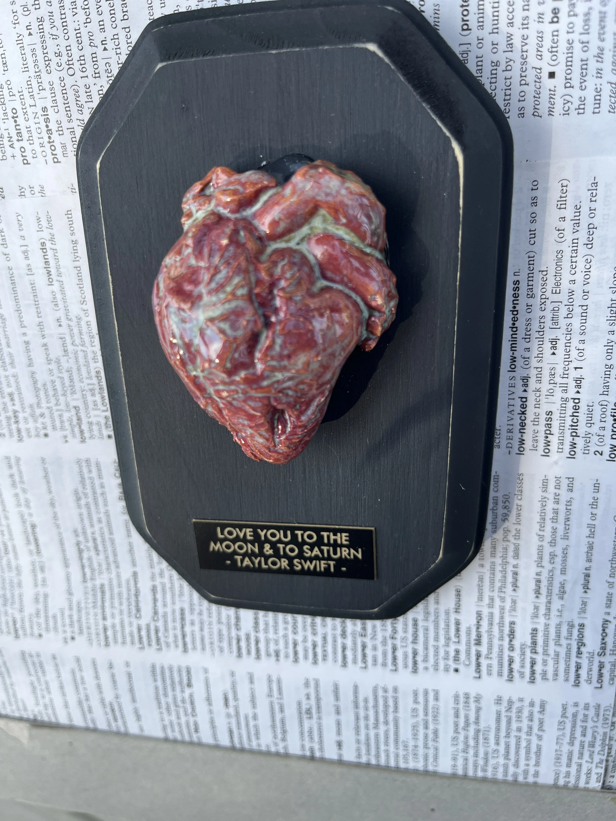 he64b Swiftyheartpink_9378.JPG