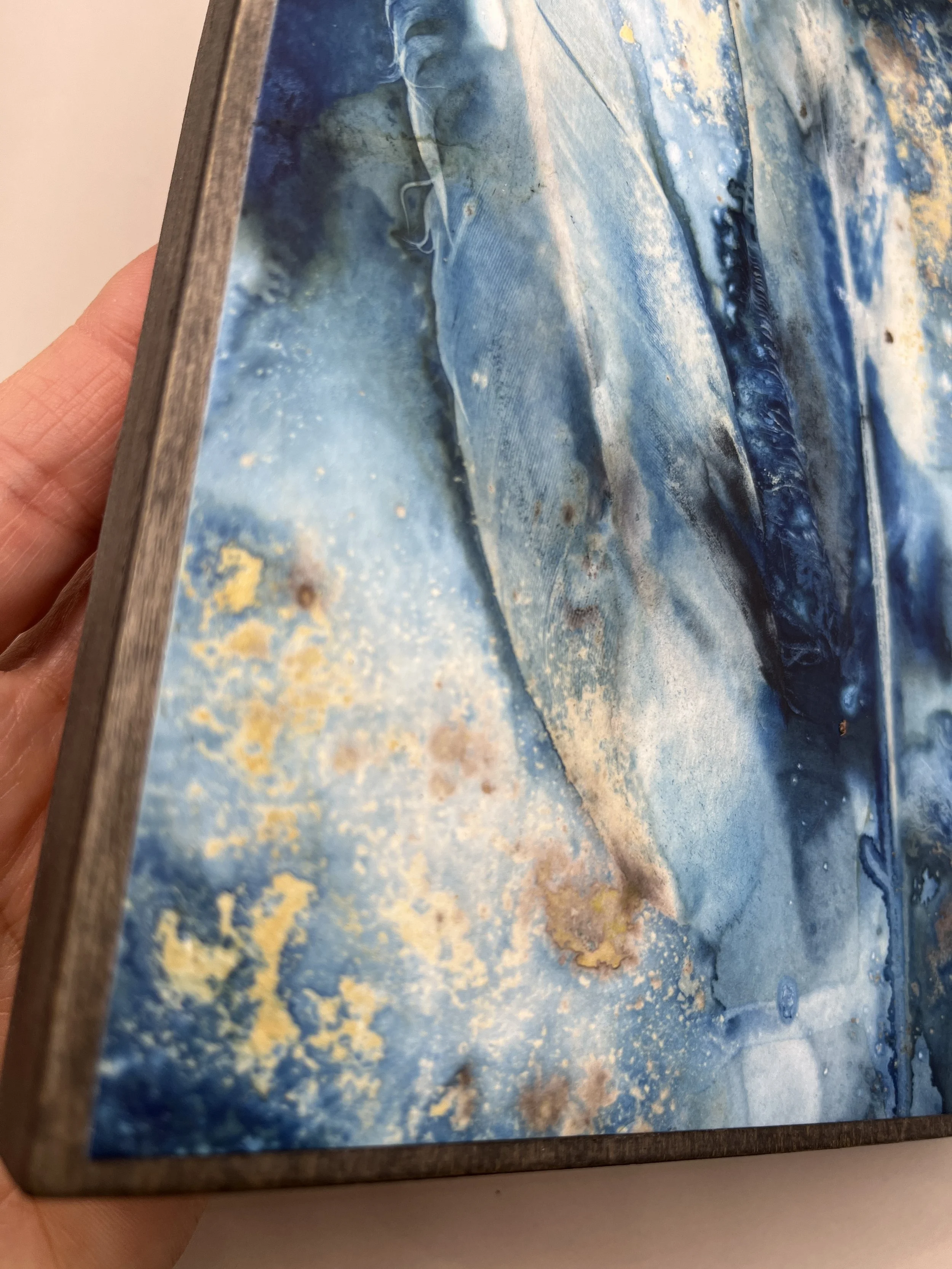 kgb294 2025_1325 2.JPG