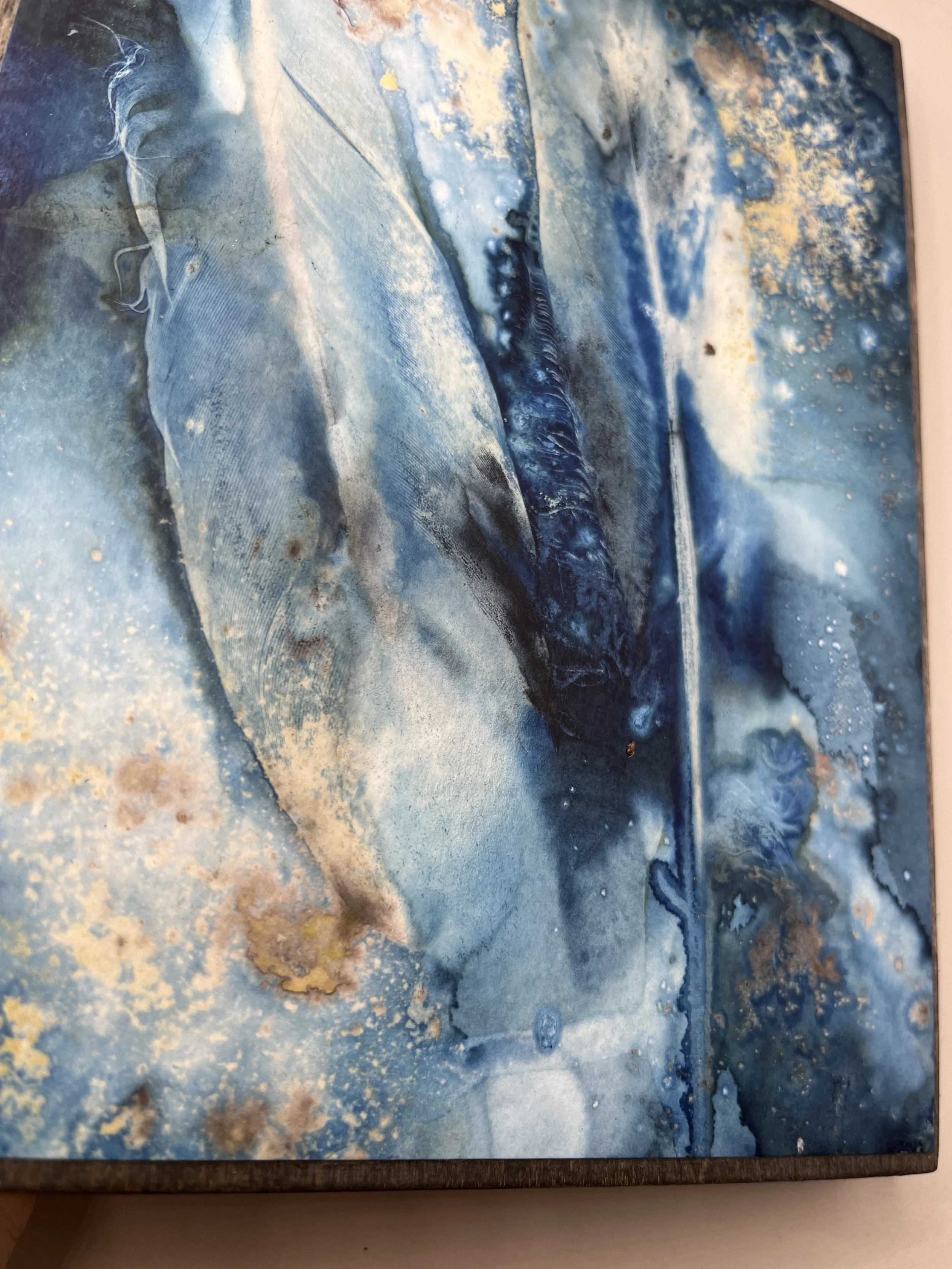 kgb294 2025_1326 2.JPG