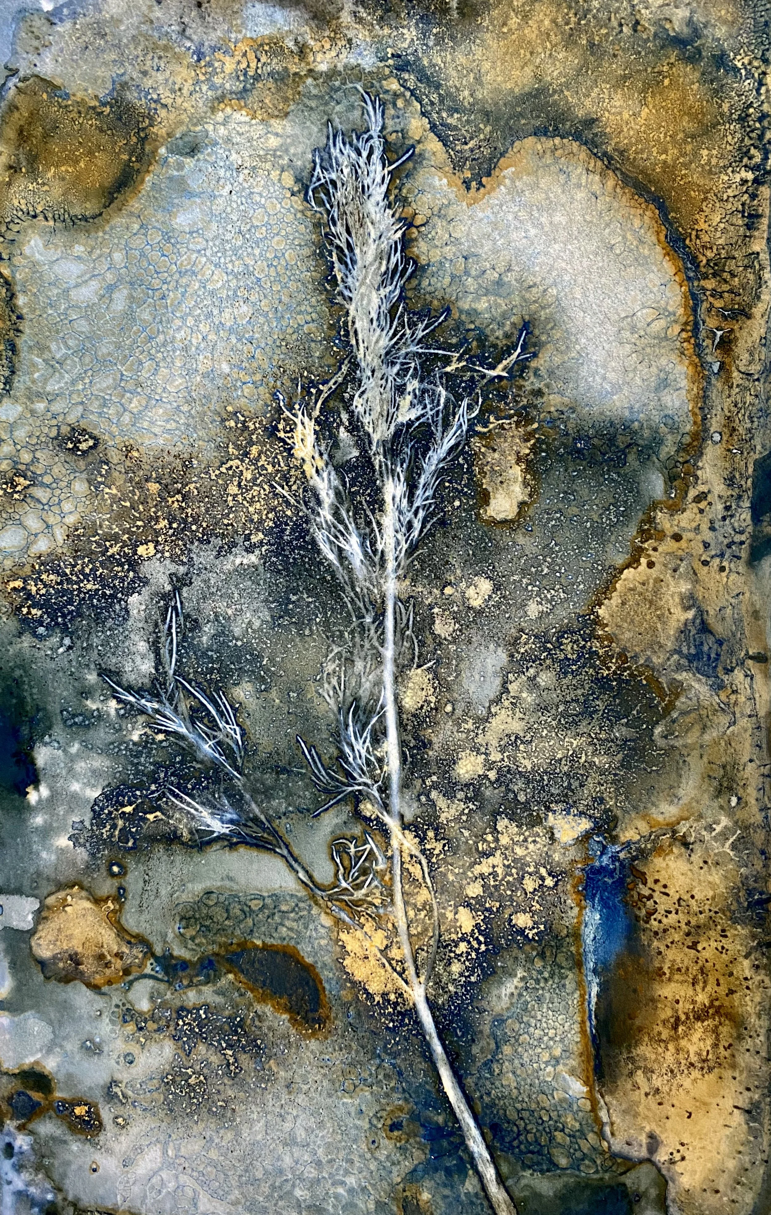 Dill #1 2024 | Alternative Cyanotype on wood 5x11 | WGC -SOLD