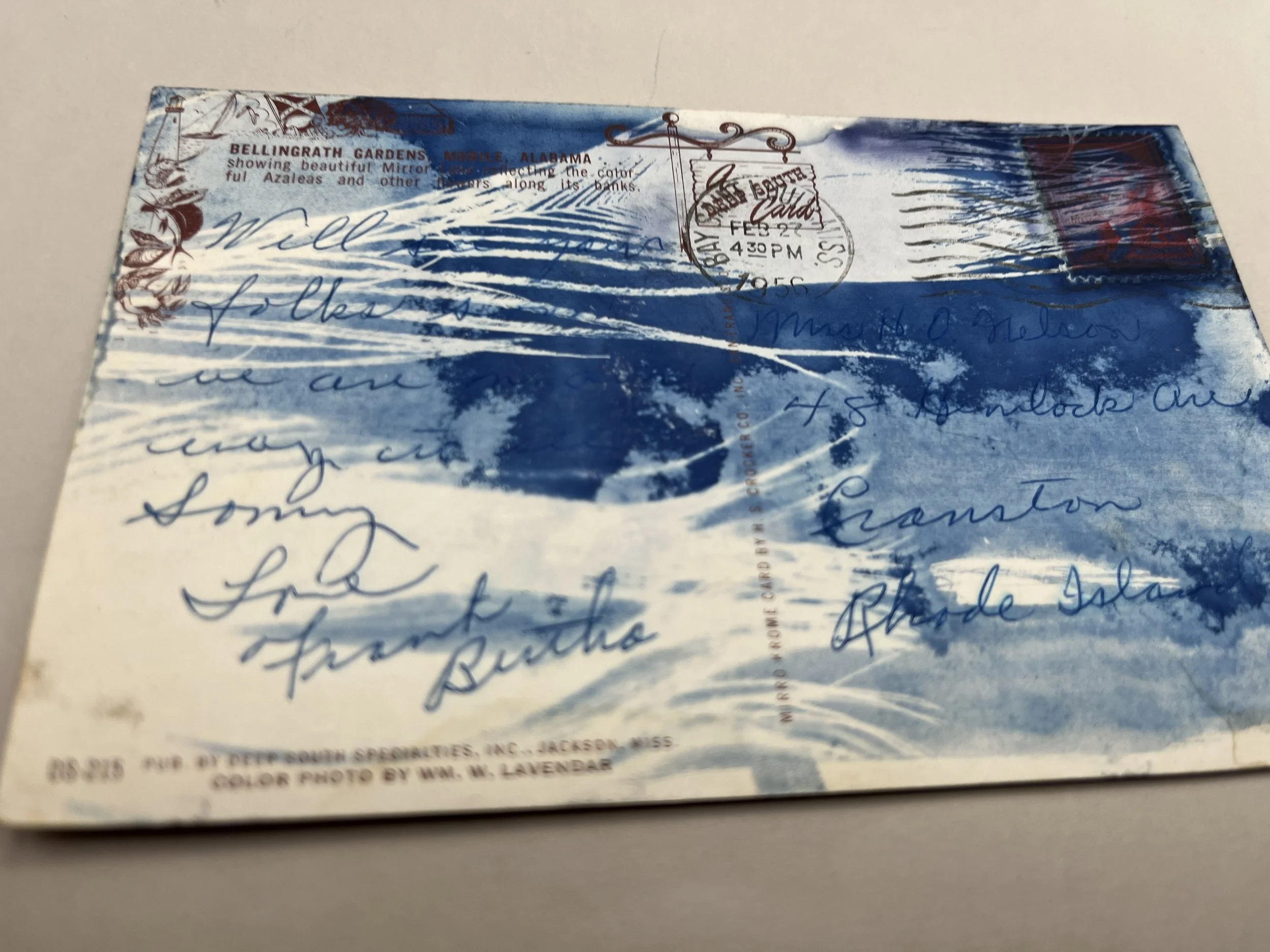 cpc462 2025_3678.JPG