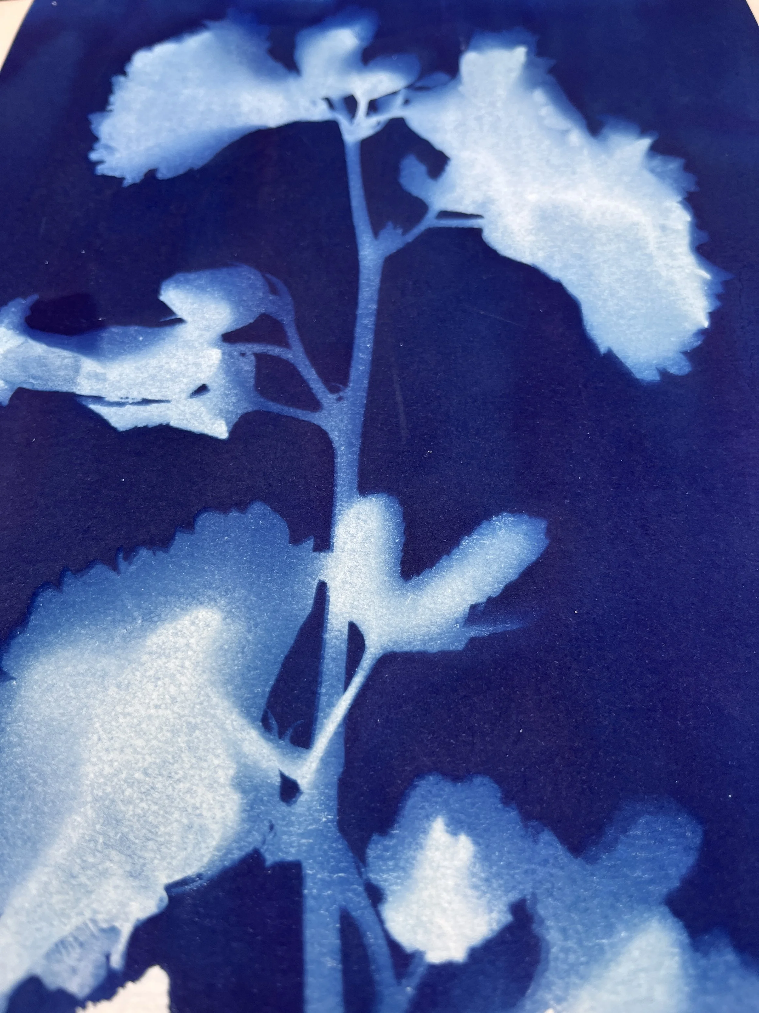 kgb295 2025_1330.JPG