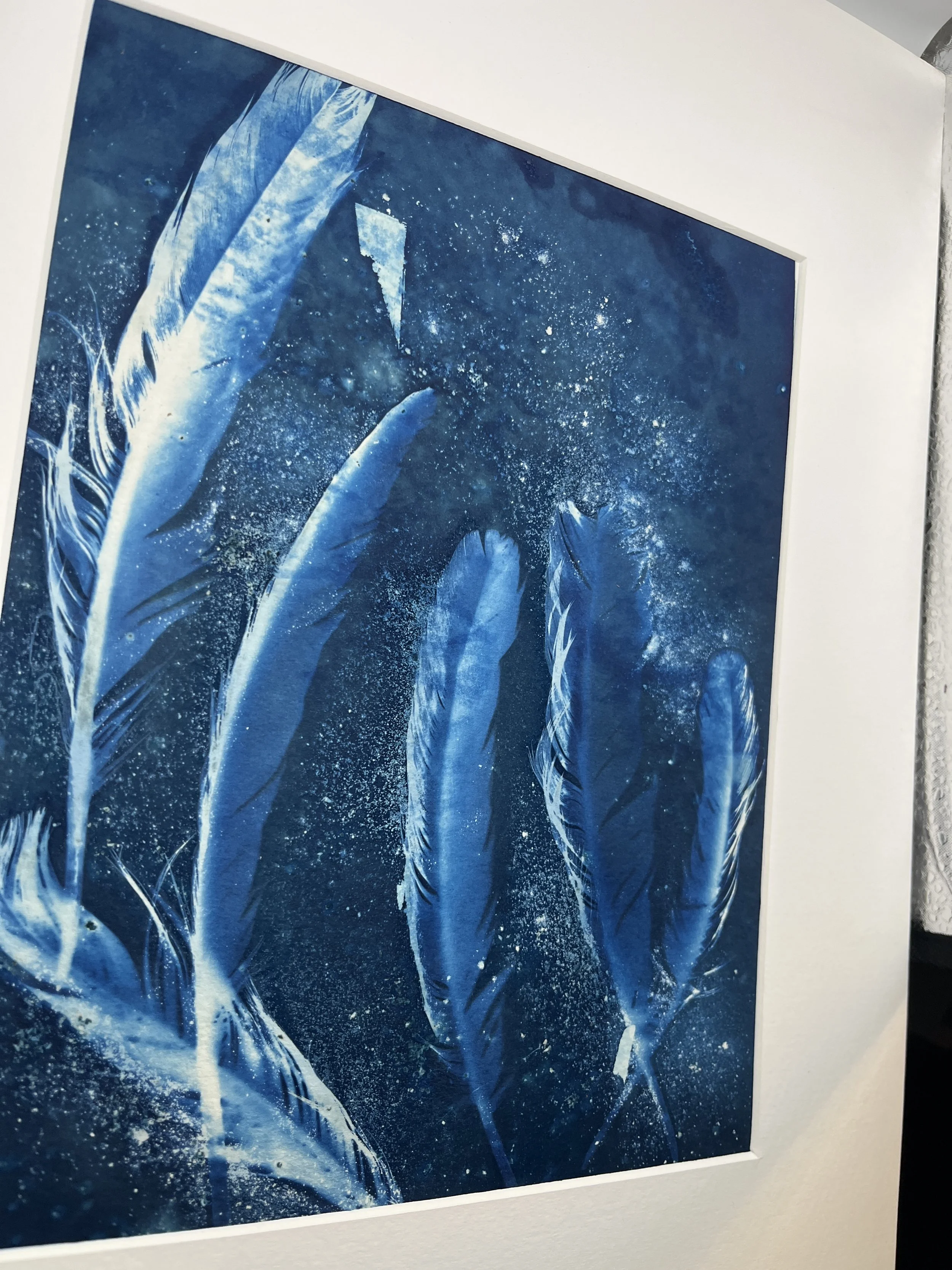 kgb352 6th cyanotype_4553.JPG