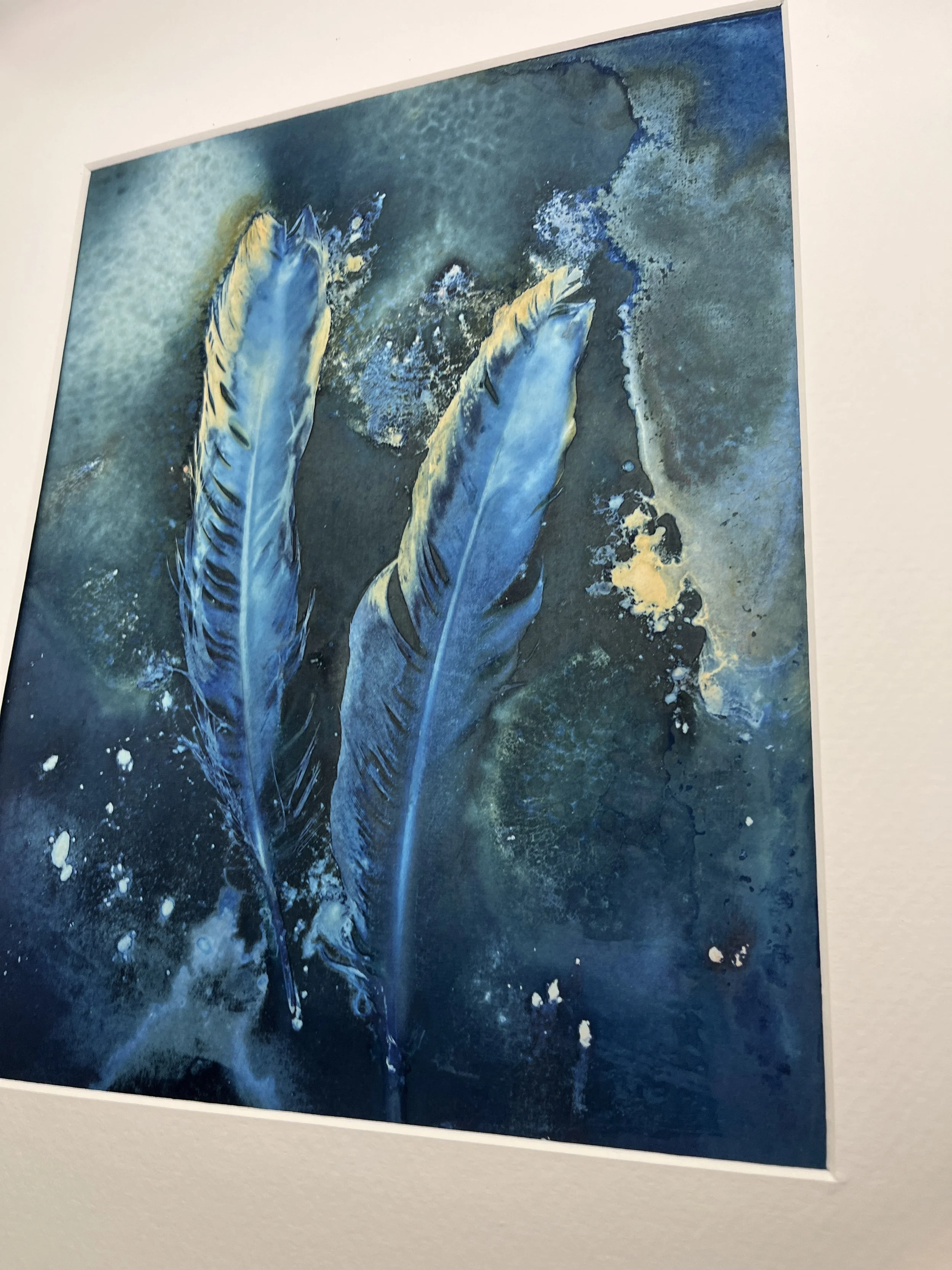 kgb353 goldenedge cyanotype_4545.JPG