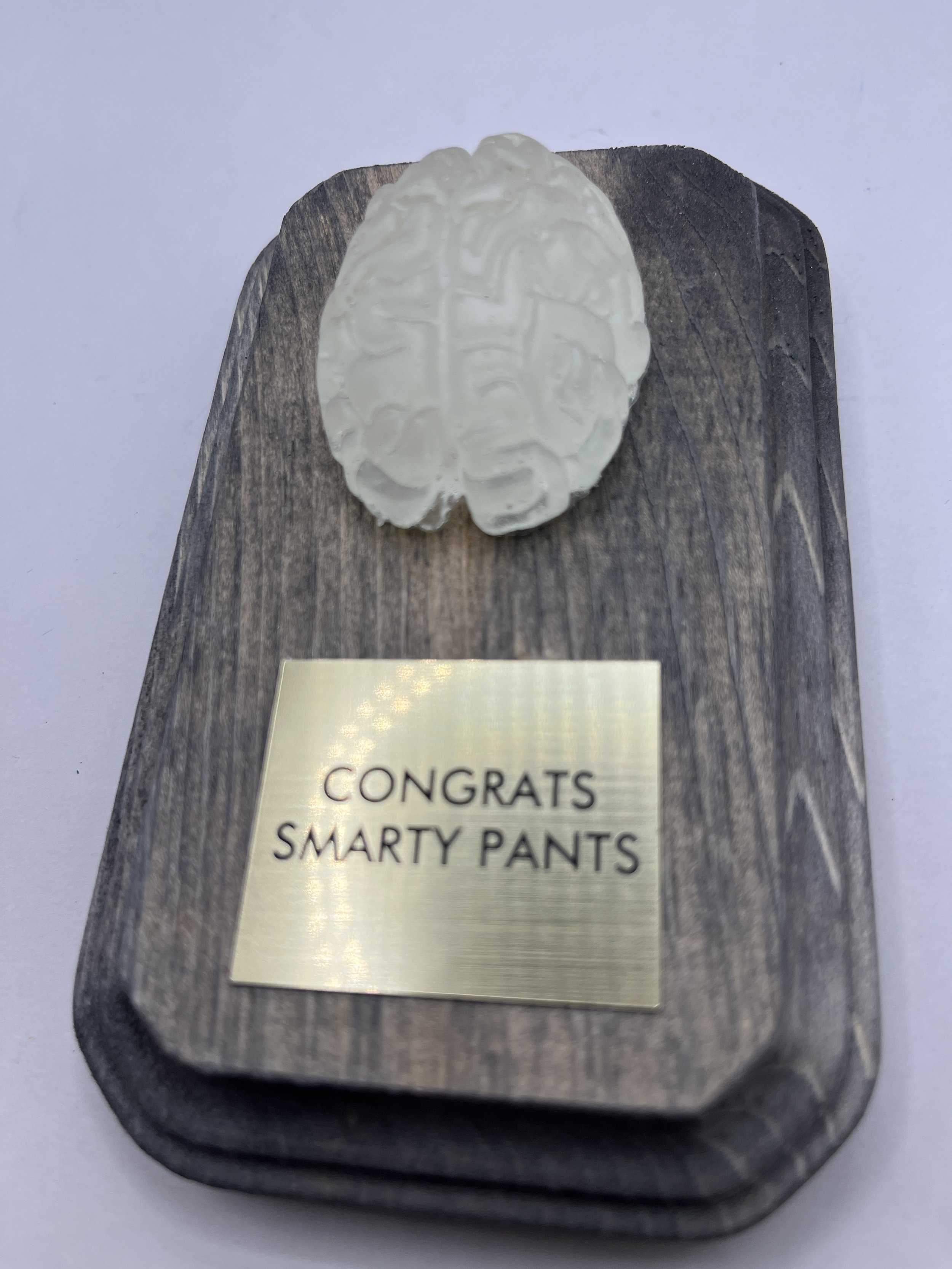 Congrats Smarty Pants | White Gray Brain Faux Trophy Plaque | Celebrate