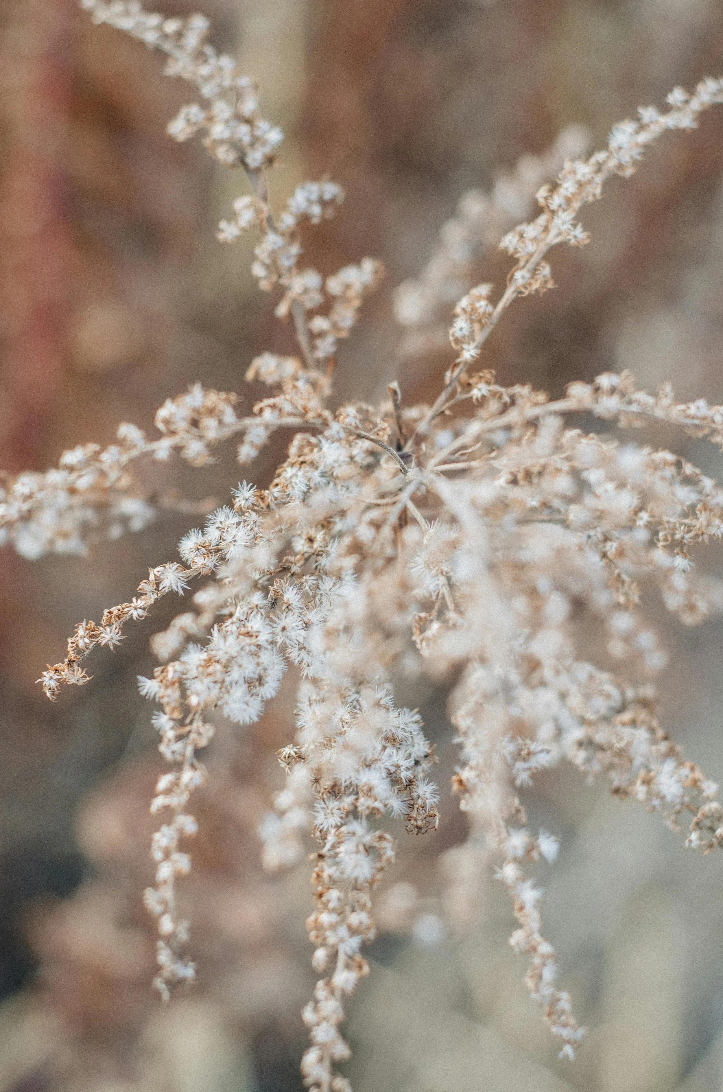 Full Vida Therapy offers telehealth counseling in California. Our warm, nature-inspired branding reflects our client-centered, calming approach.