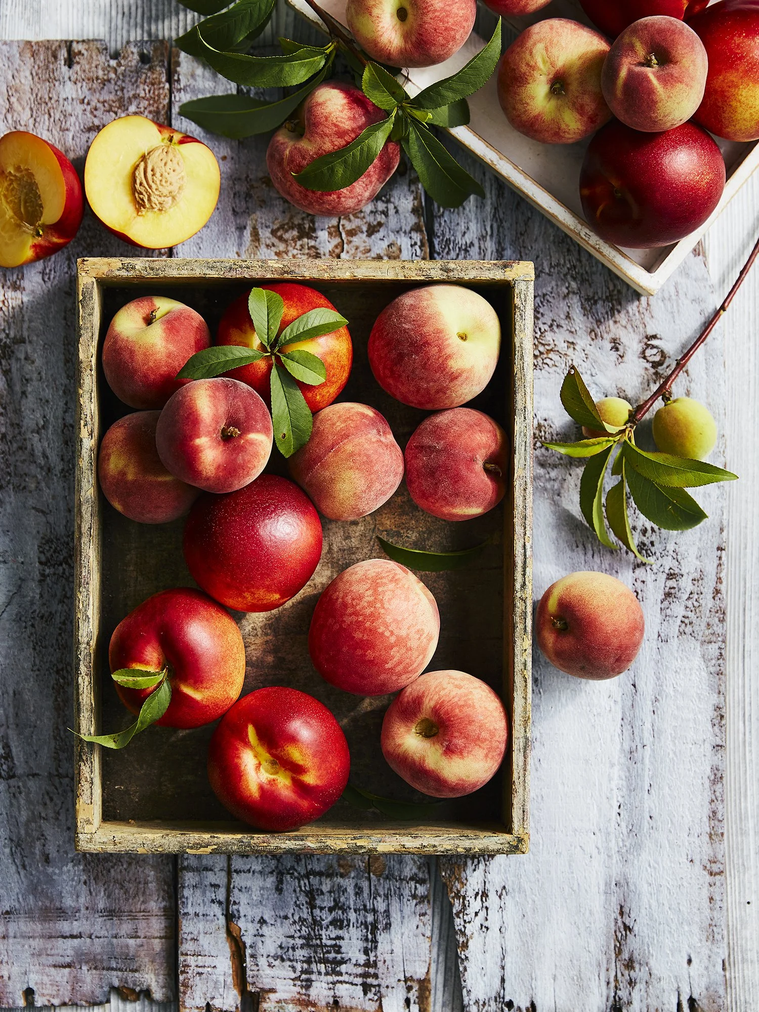 AWW Nectarines and Peaches 004.jpg
