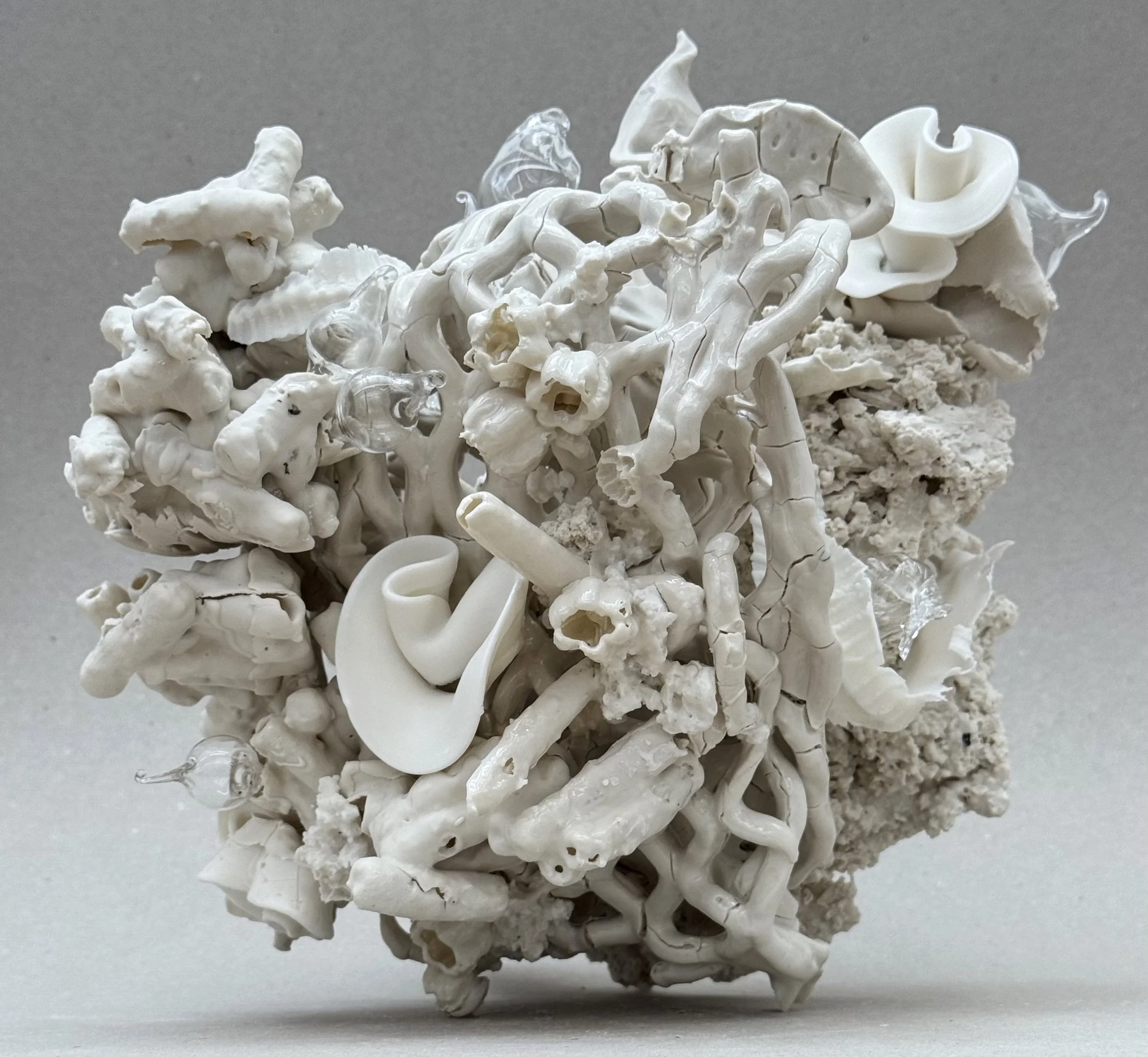 cluster_IMG_2281.jpg