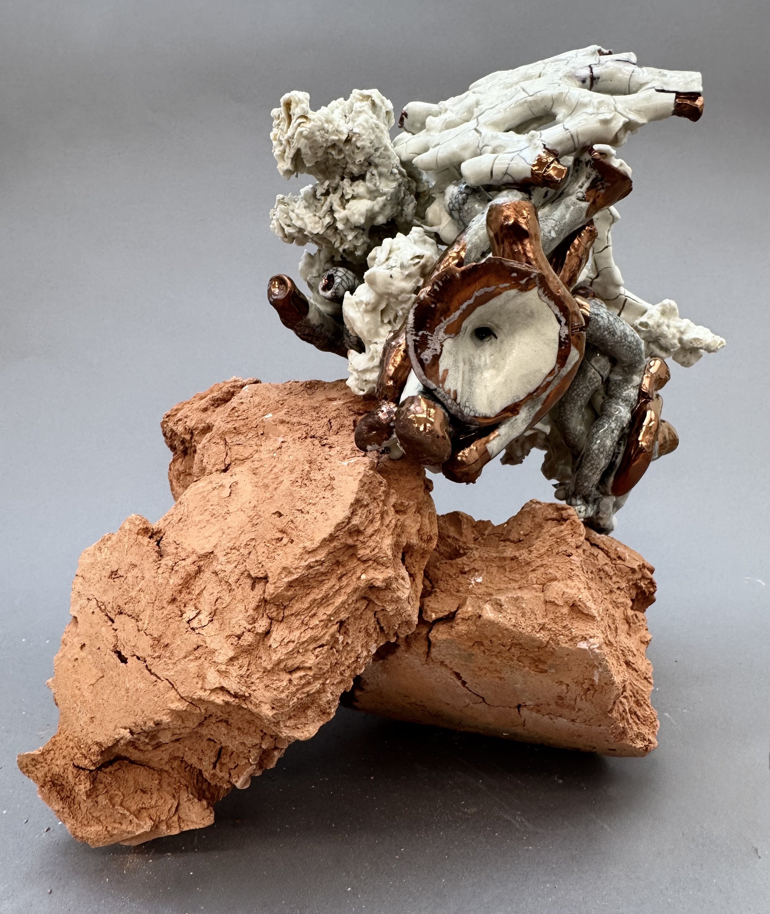 IMG_0455_copper.jpg
