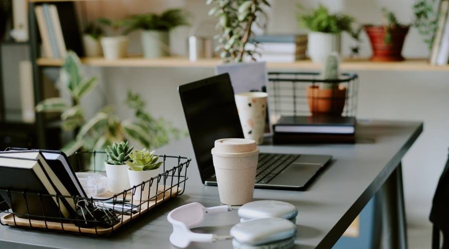 Sustainability Practices for Eco-Friendly Student Living