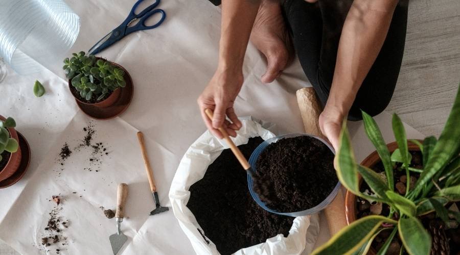 'Green Living': How Sustainable Practices are Integrated into Modern Housing
