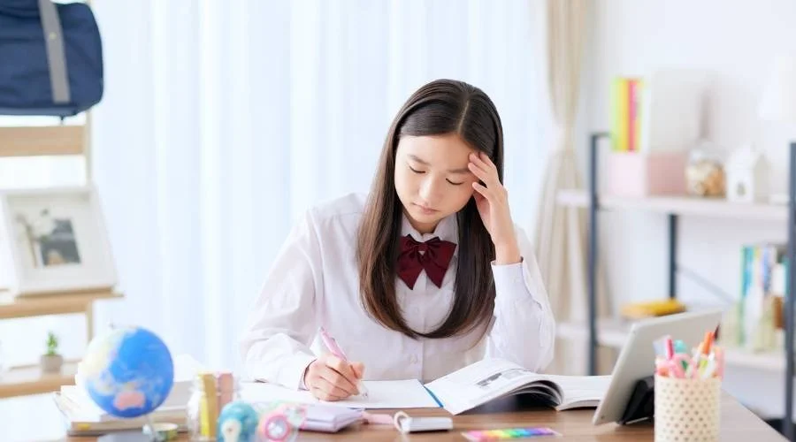 Creating a Comfortable Study Environment in Your Student Apartment ...