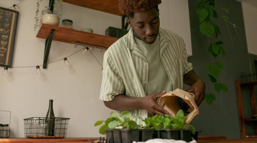Sustainable Practices Integrated into Modern Housing