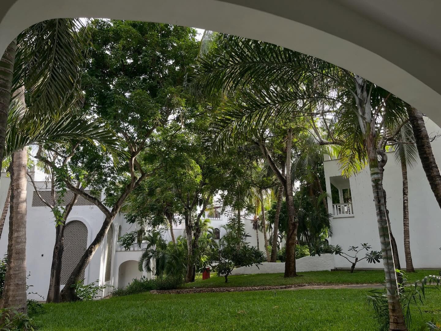 My view this week.

Not a bad view at all for the last week of 2025!