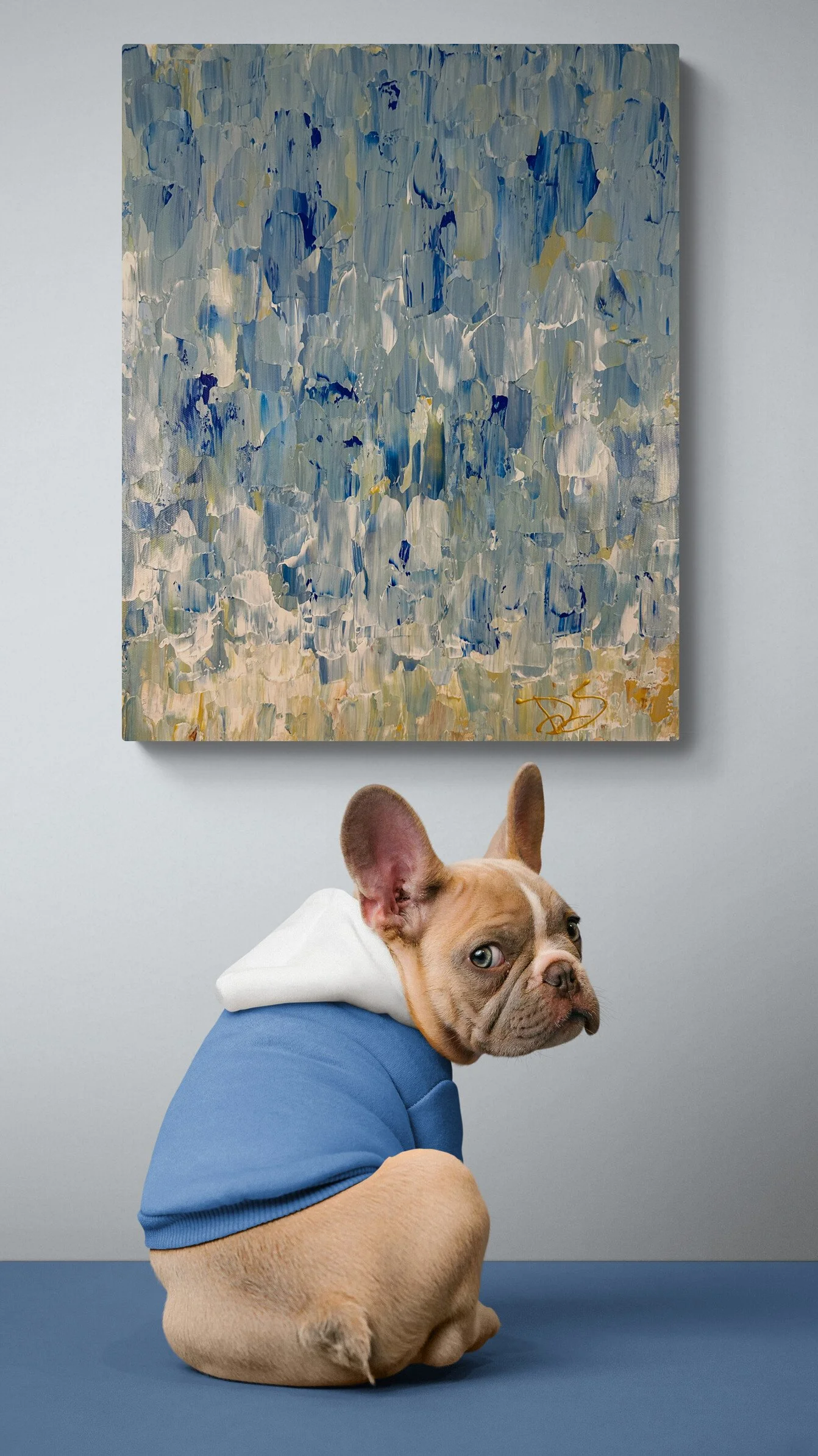 cute-dog-wearing-a-hoodie copy 2.jpg