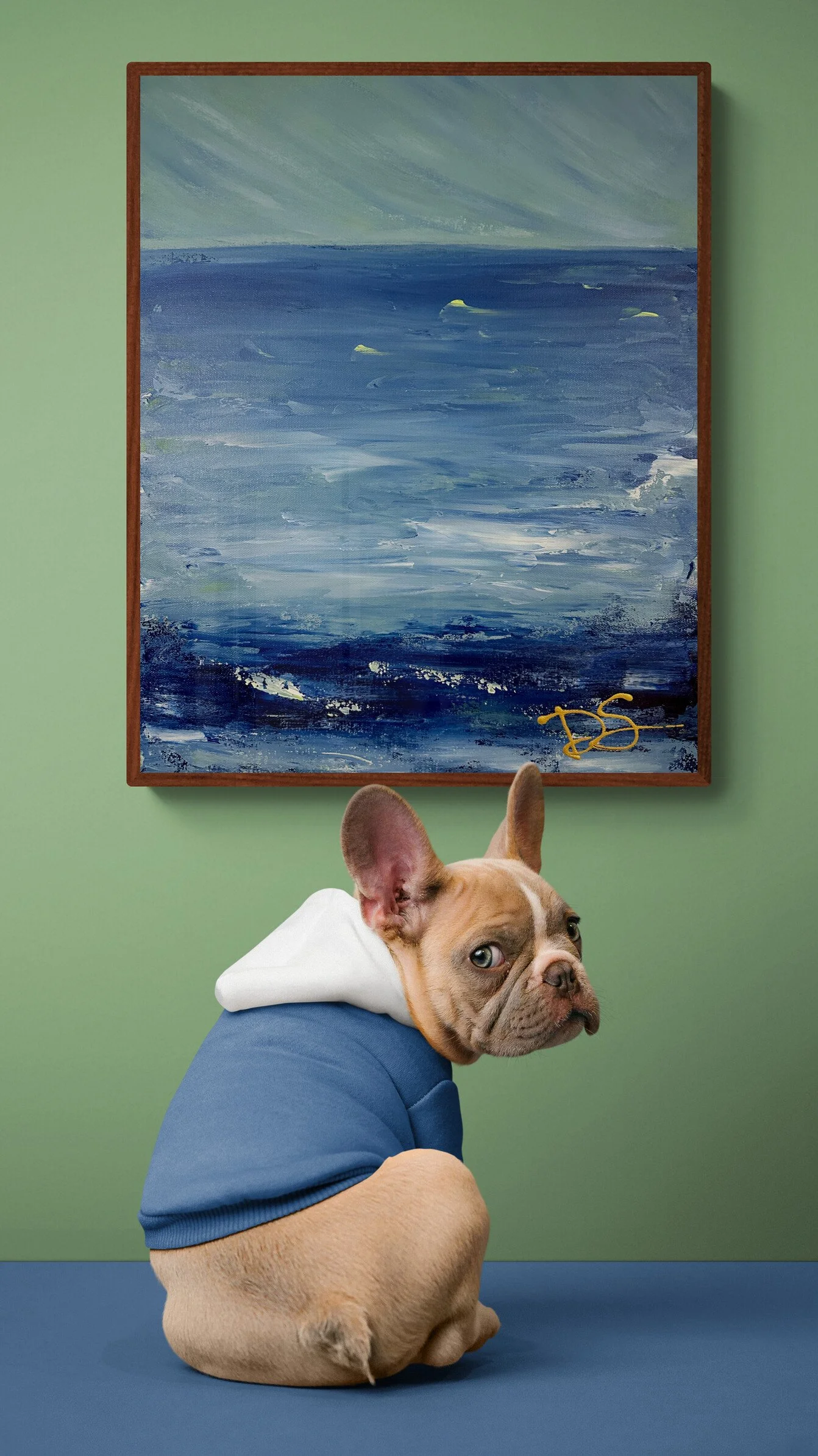 cute-dog-wearing-a-hoodie.jpg