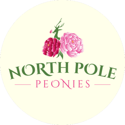 North Pole Peonies