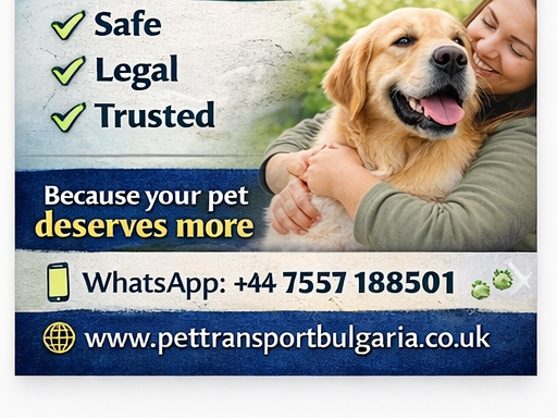 Why Pets Get Refused Entry to the UK (And How to Avoid It)