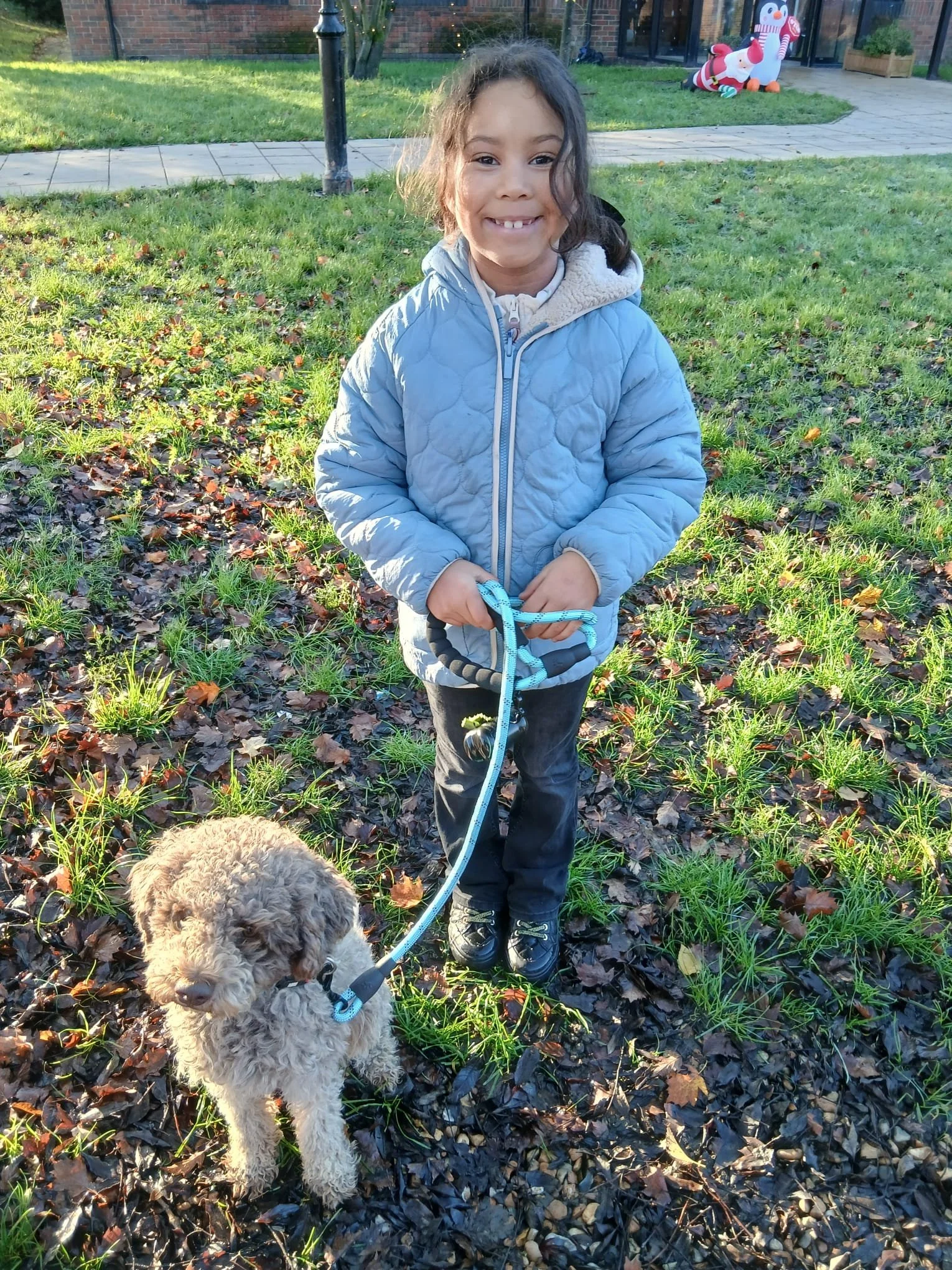 Why Size Matters in Pet Transport (And Why Prices Differ)