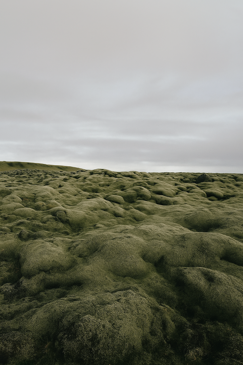 sape_natur_15.png
