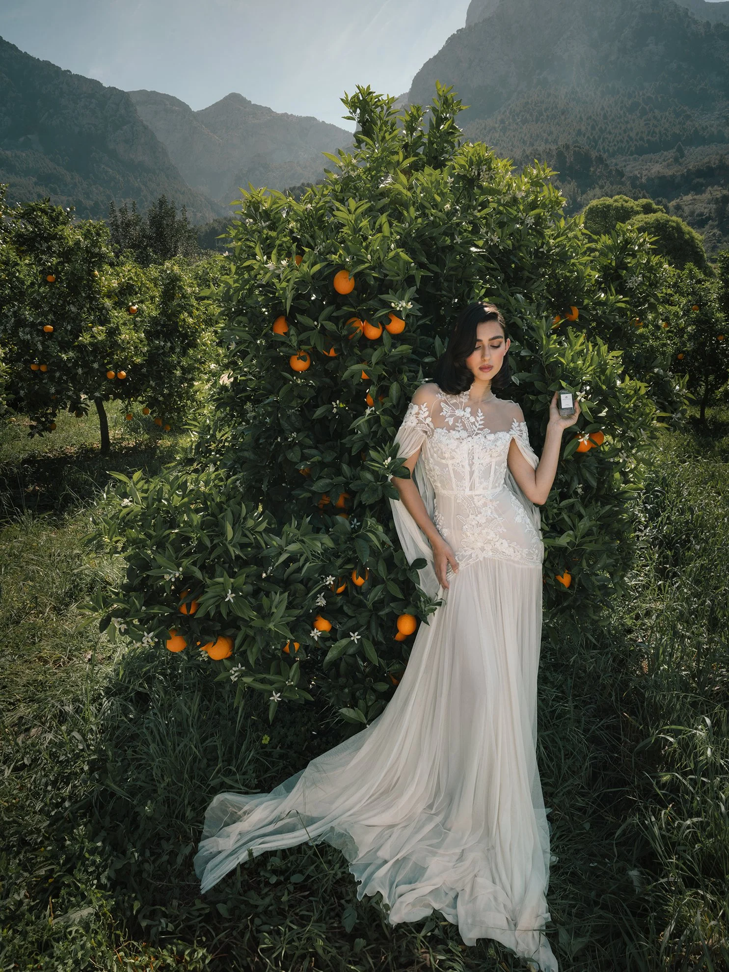 orange_blossom_01.jpg
