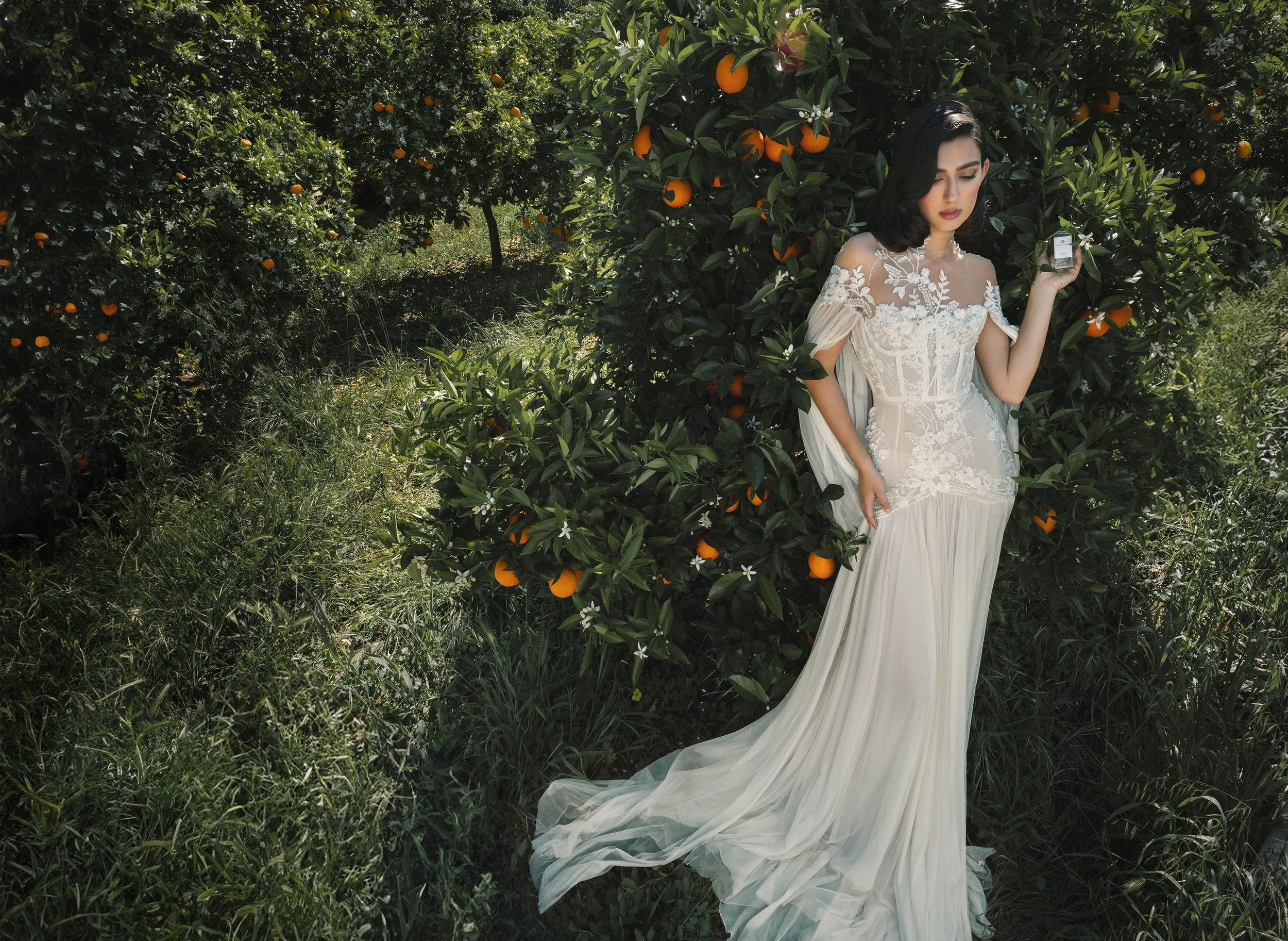 orange_blossom_09.jpg