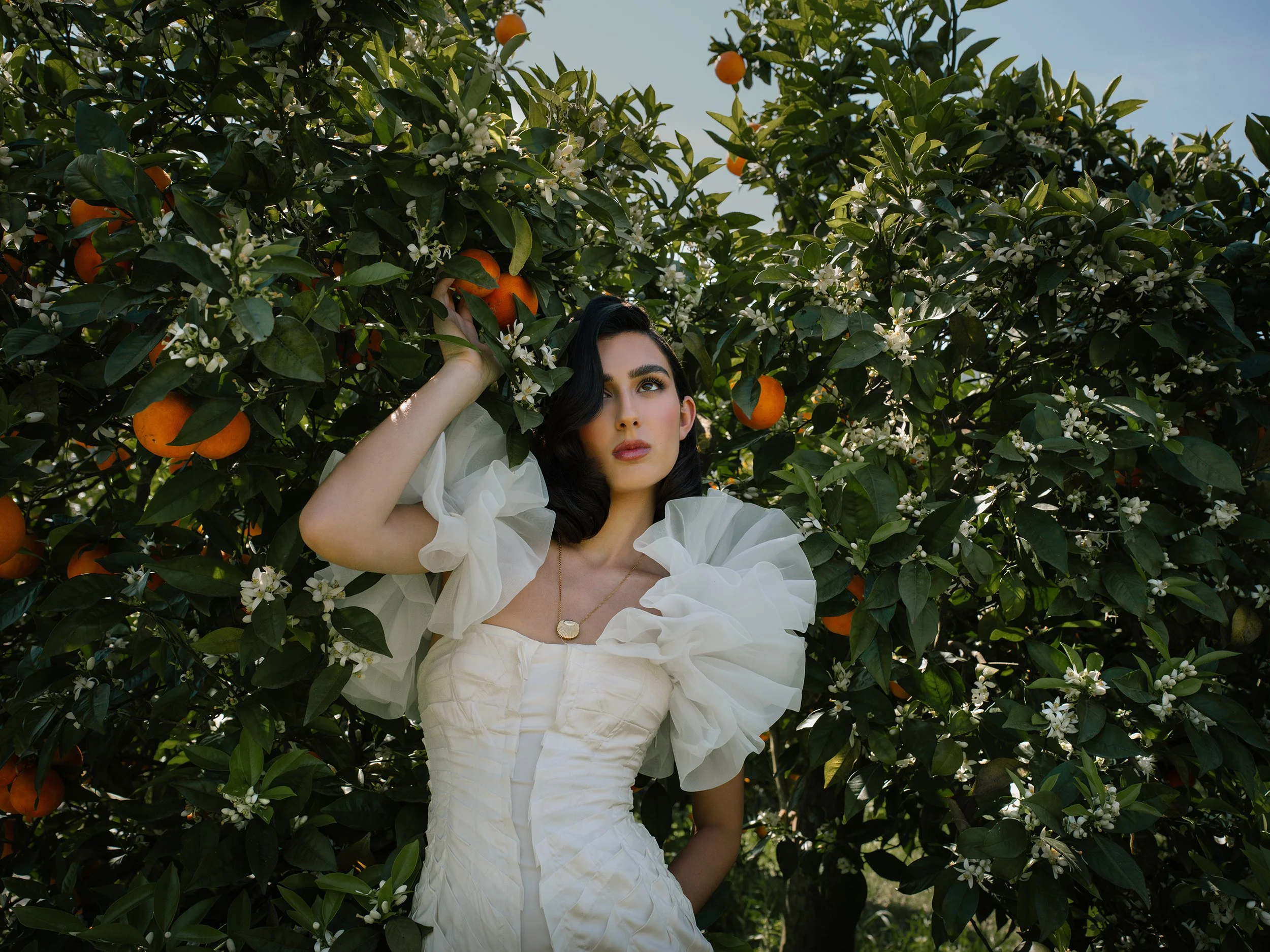orange_blossom_16.jpg