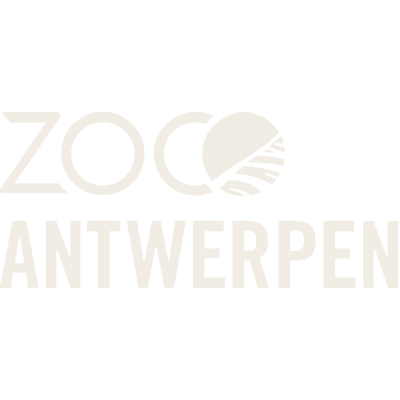 Zoo Antwerp logo featuring a zebra stripe circle and text in black and white.