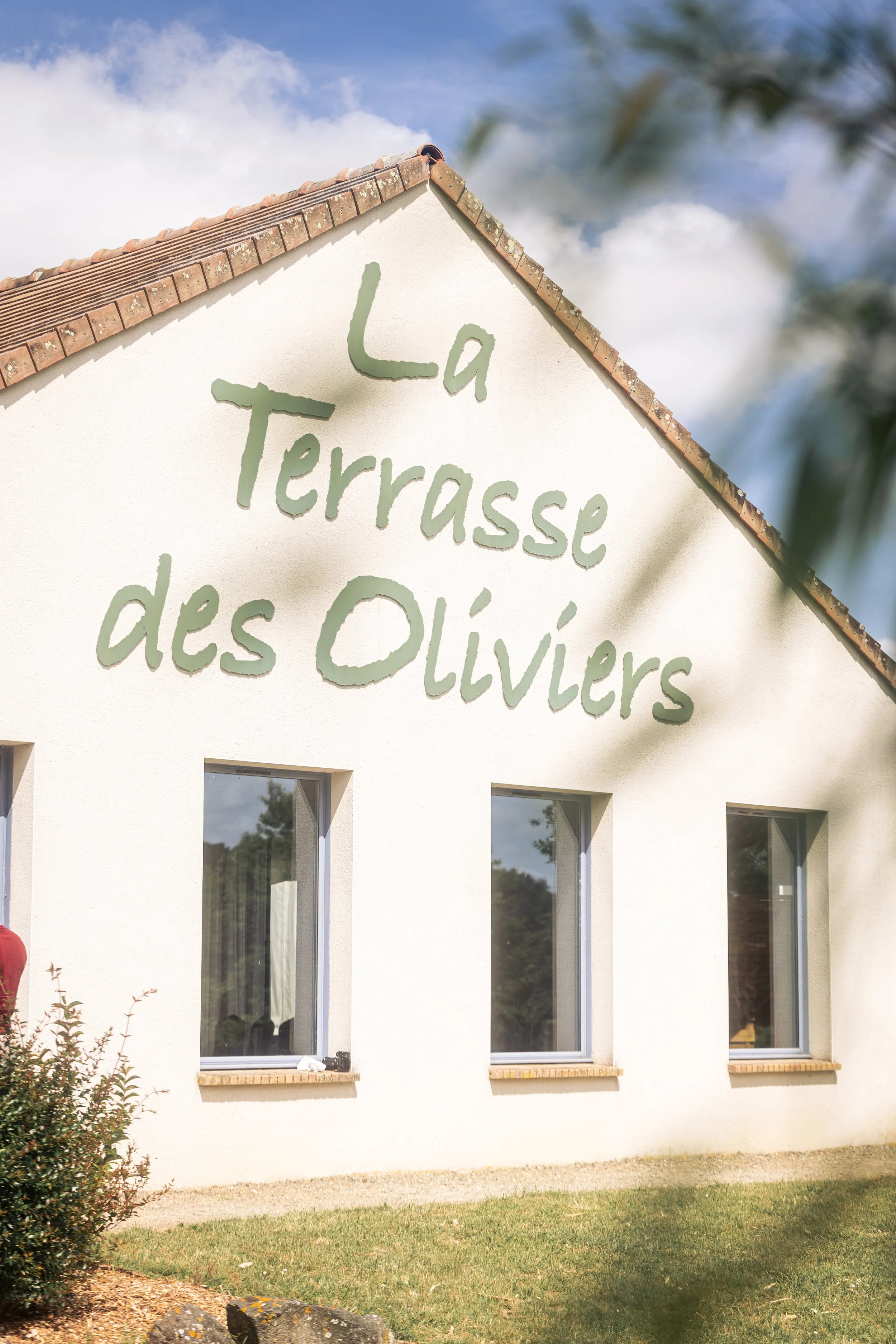 la terrasse des oliviers