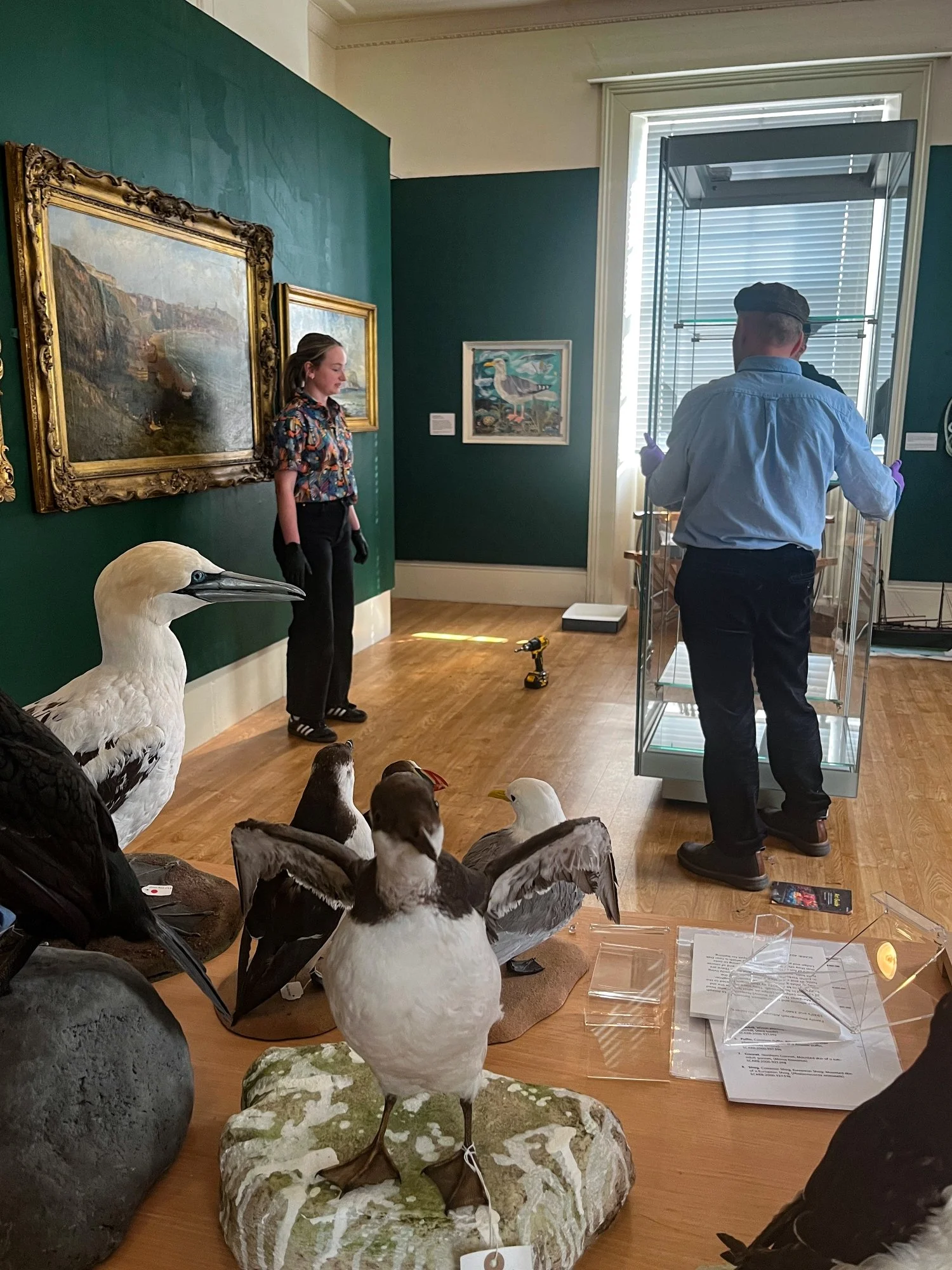 Installation shot Curatorial Fellowship at Scarborough Art Gallery (2025)