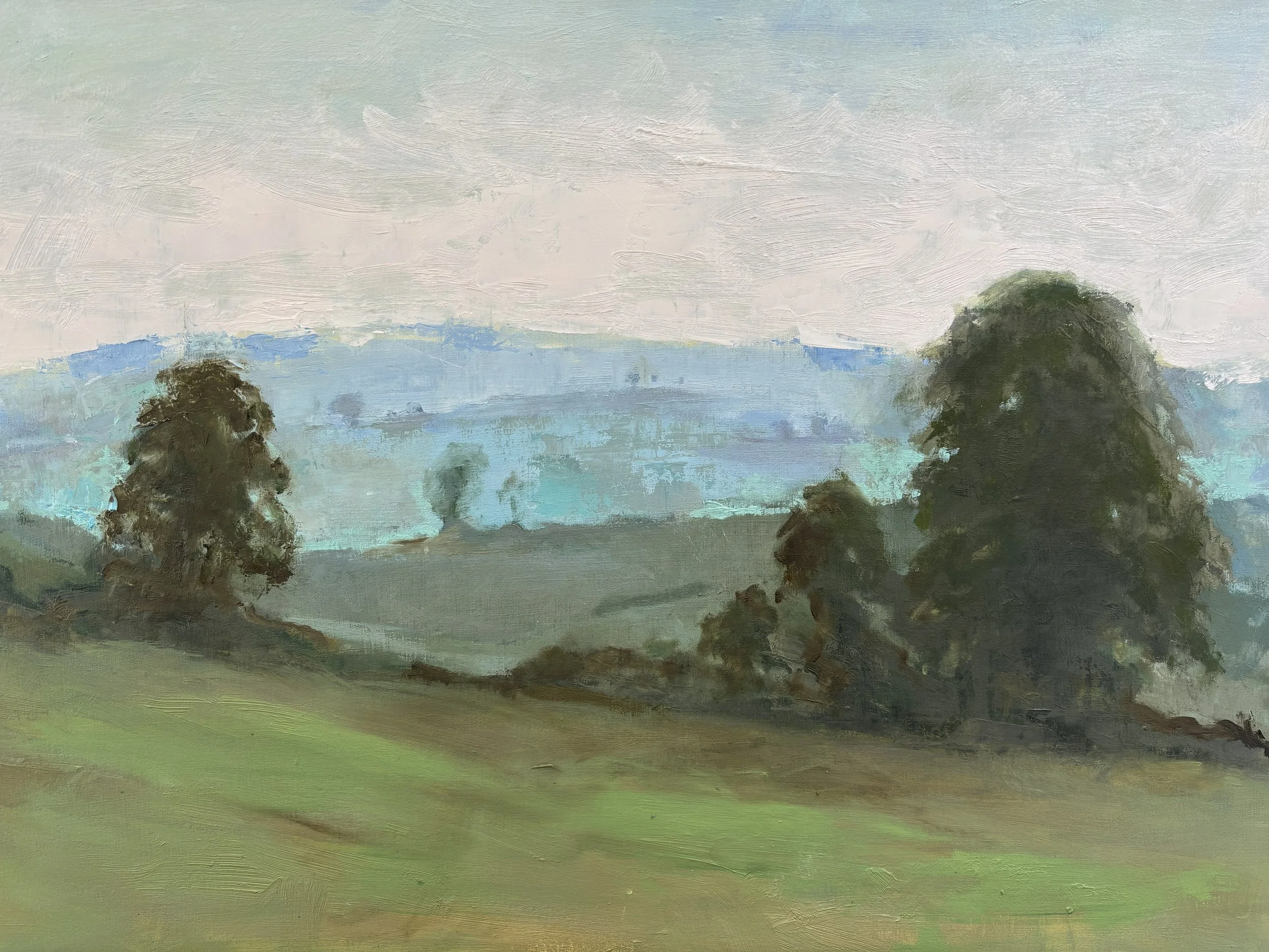 Midsummer Dawn  45 x 60cm Susannah Phillips £790 oil on Panel.jpg