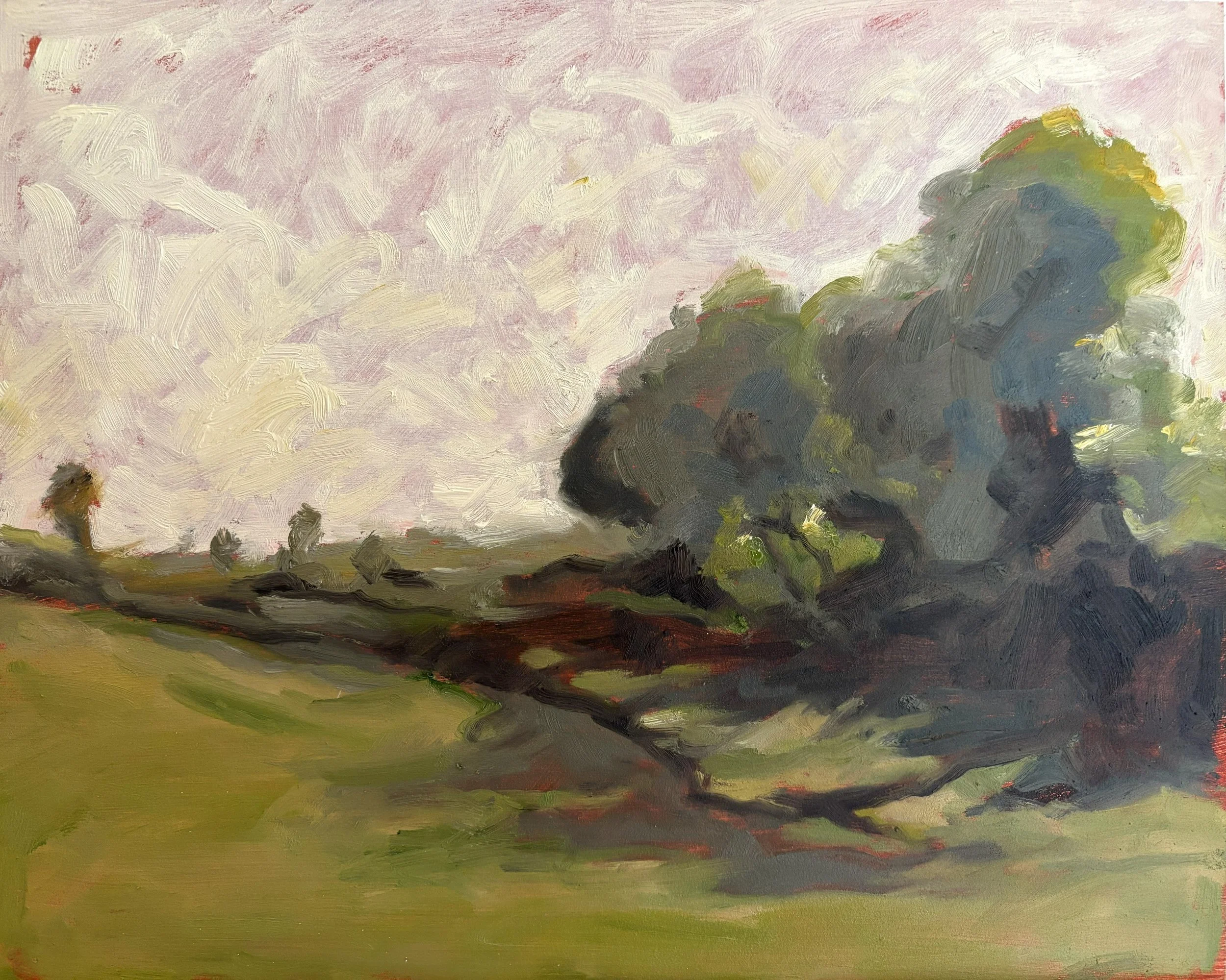 After Carot landscape.jpg