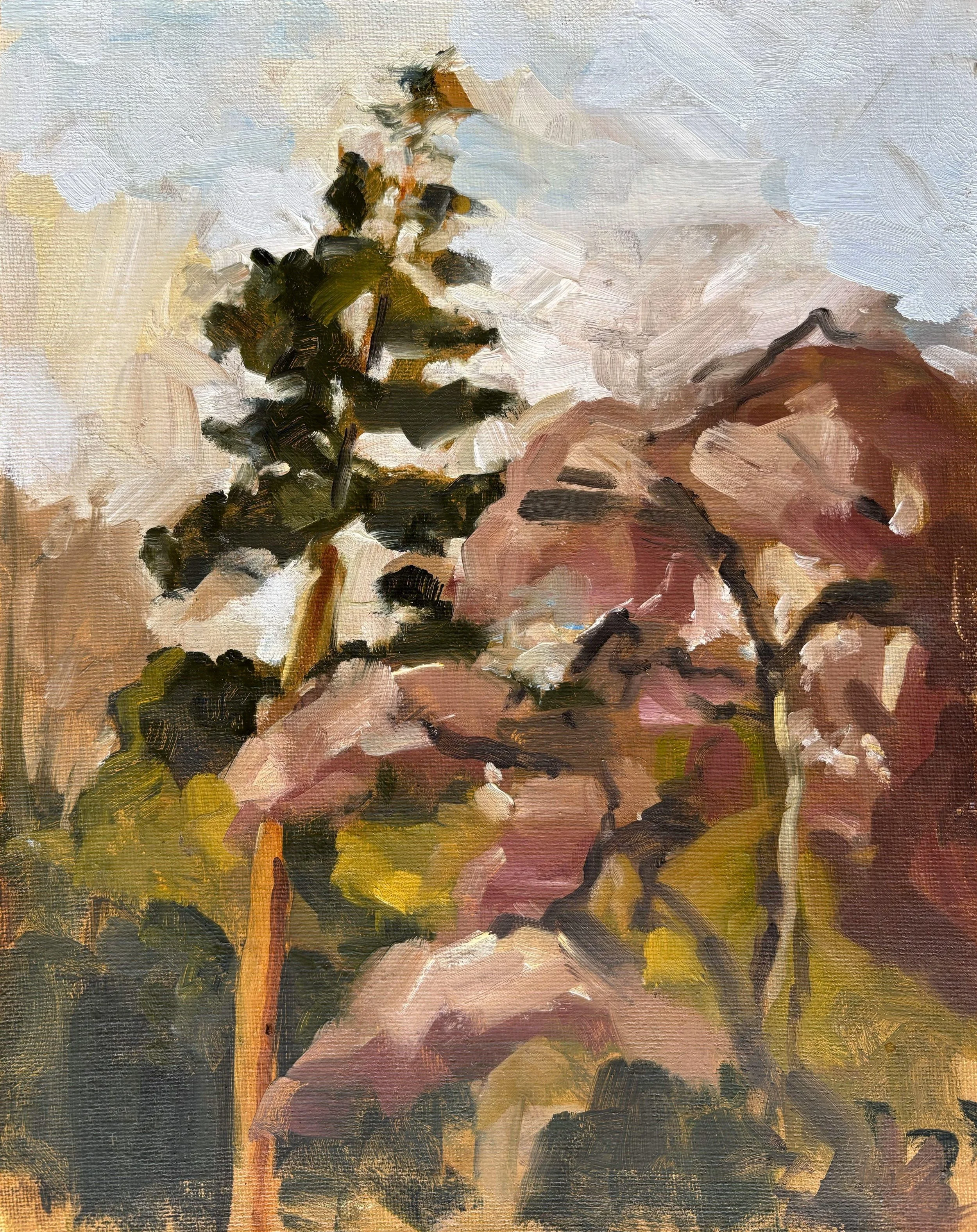 Courts Garden Trees