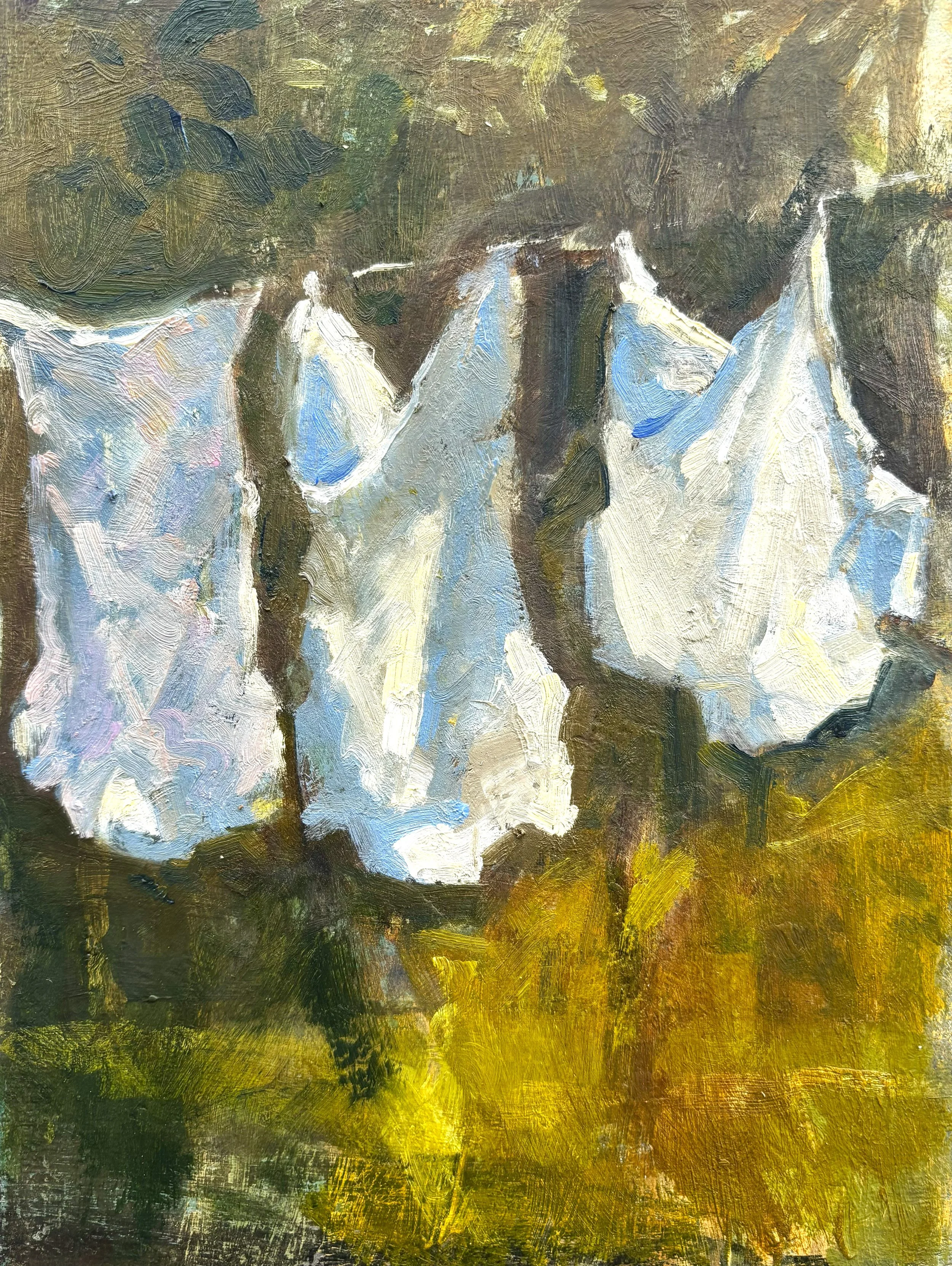 Washing line.jpg