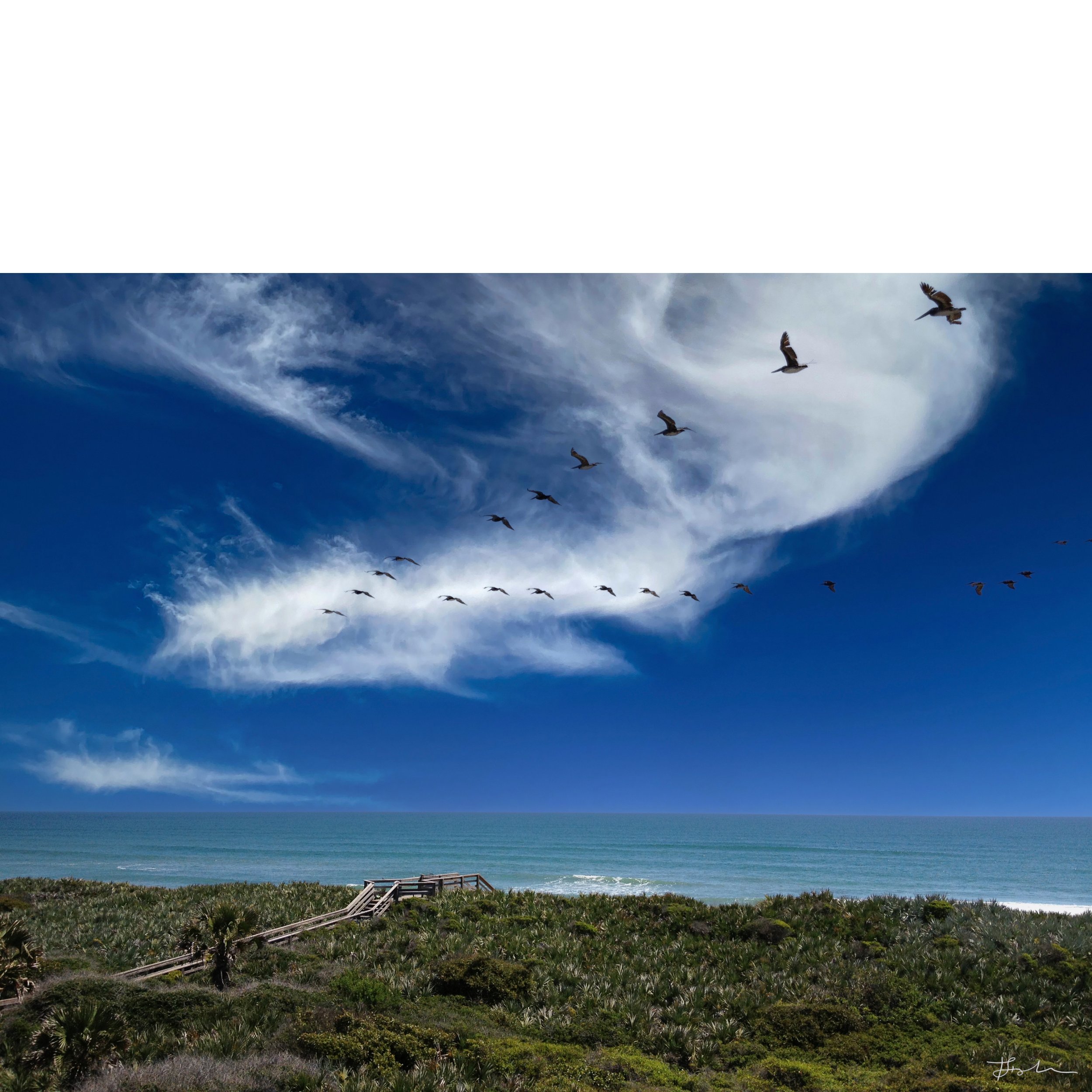 031-Summer Breeze_SQ-B.jpg