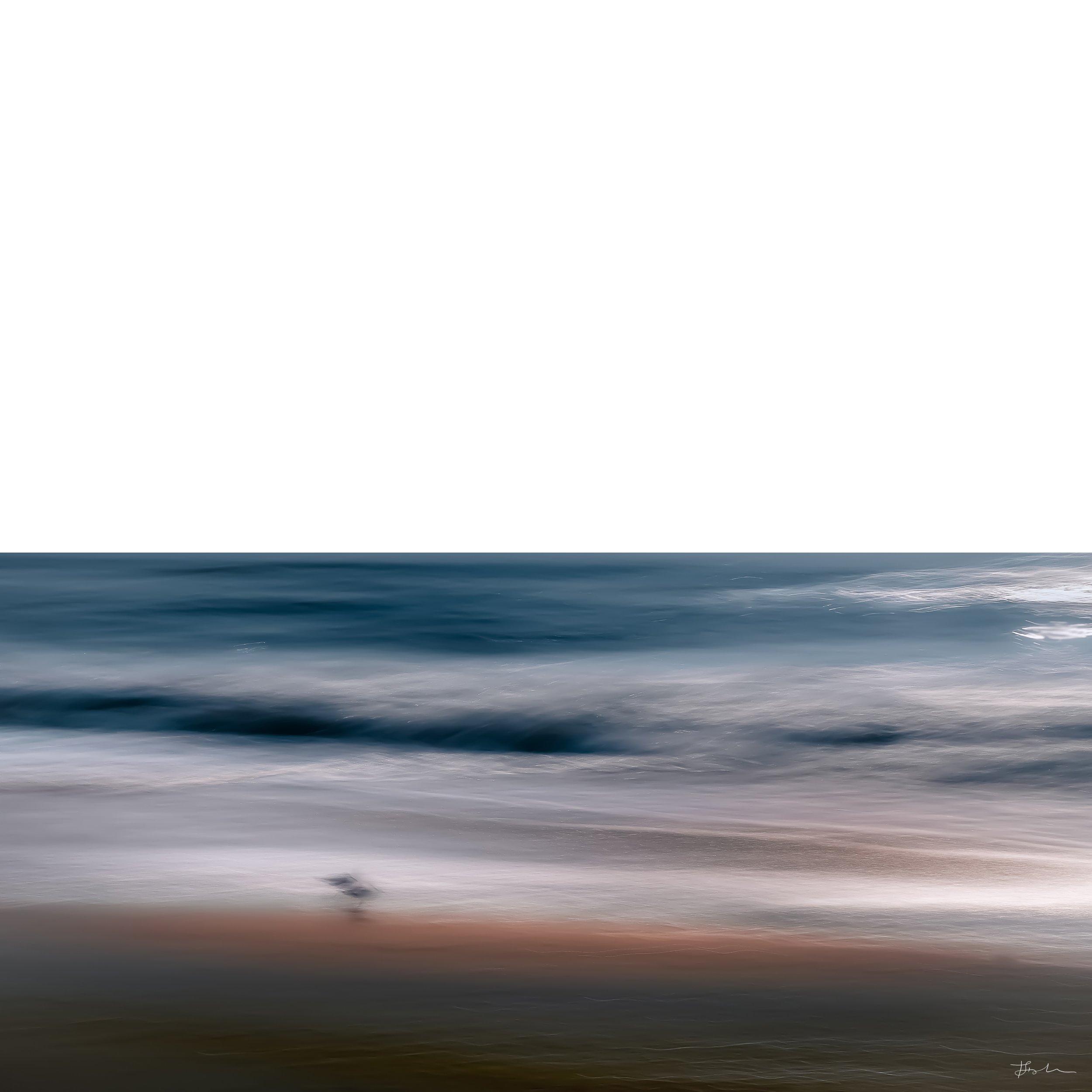 062-Sandpipers_SQ-B.jpg