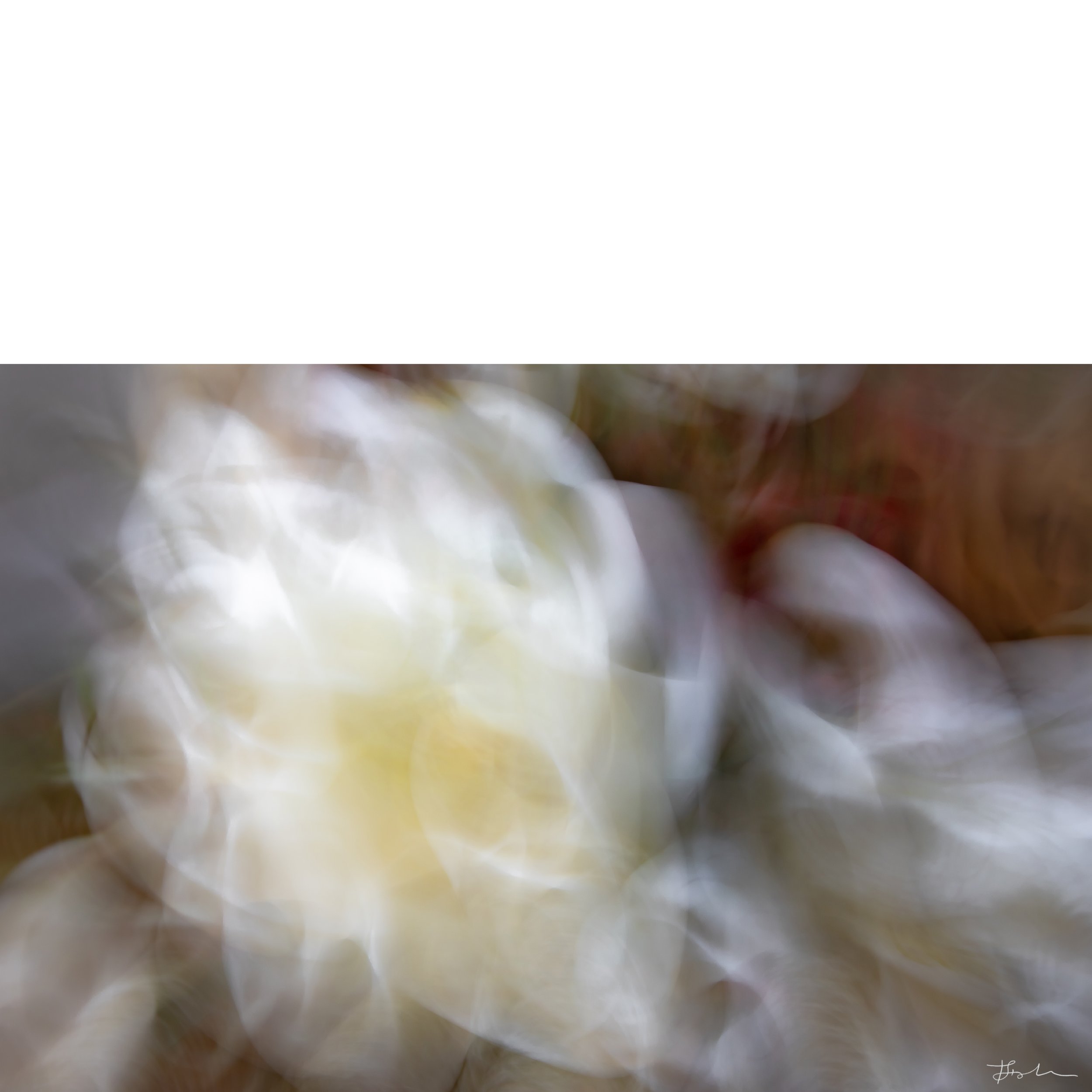 056-The Flower Nebula_SQ-B.jpg