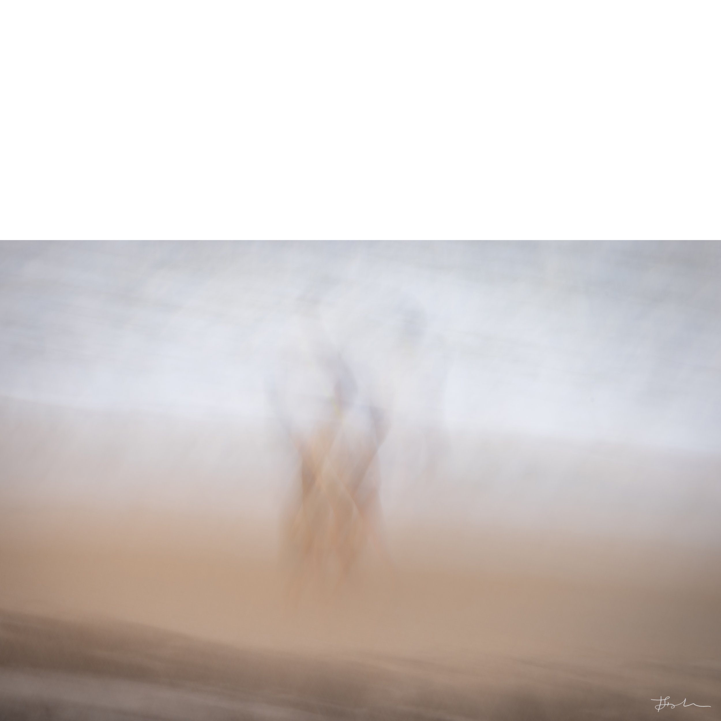 065-Sand Dancers_SQ-B.jpg