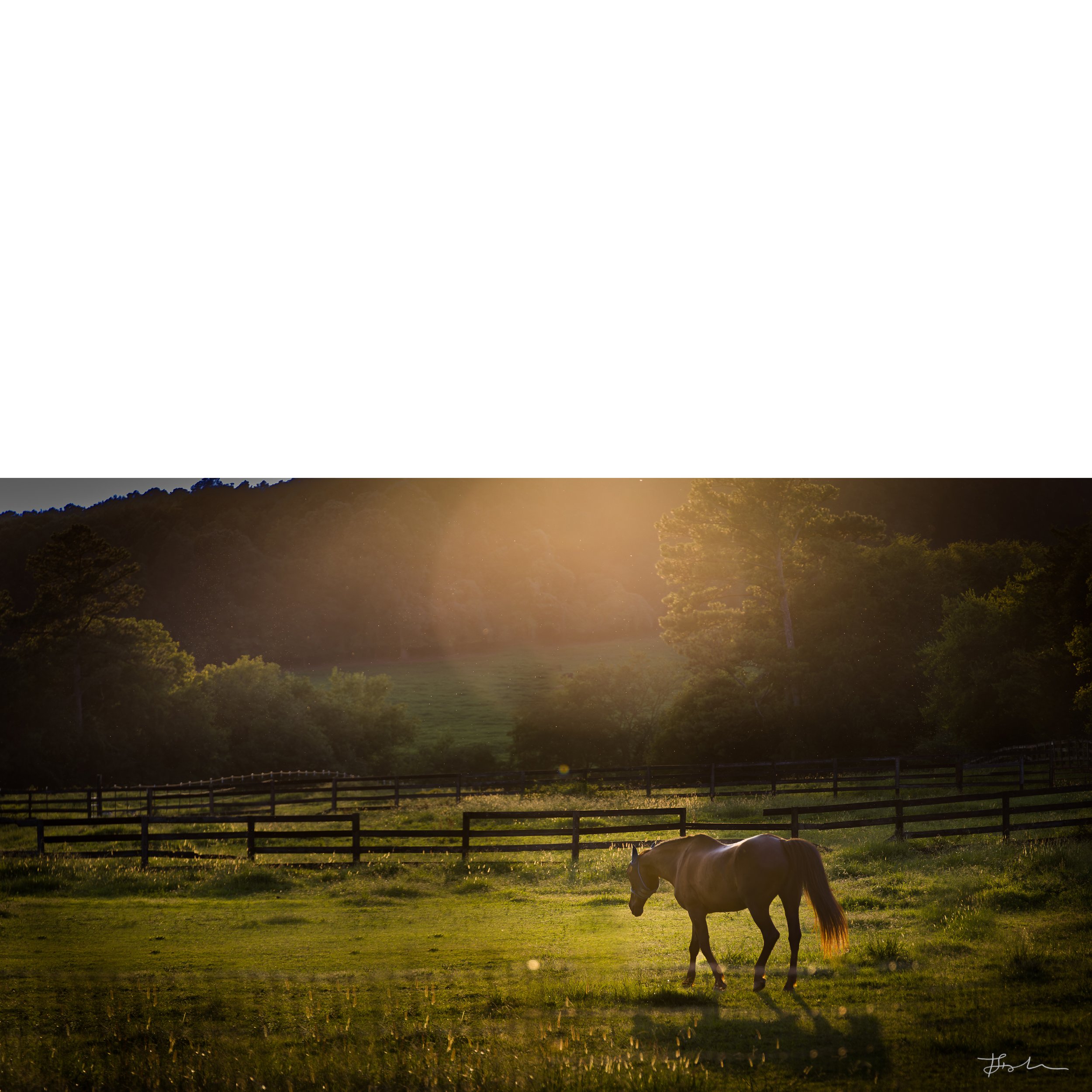 014-Greener Pastures_SQ-B.jpg